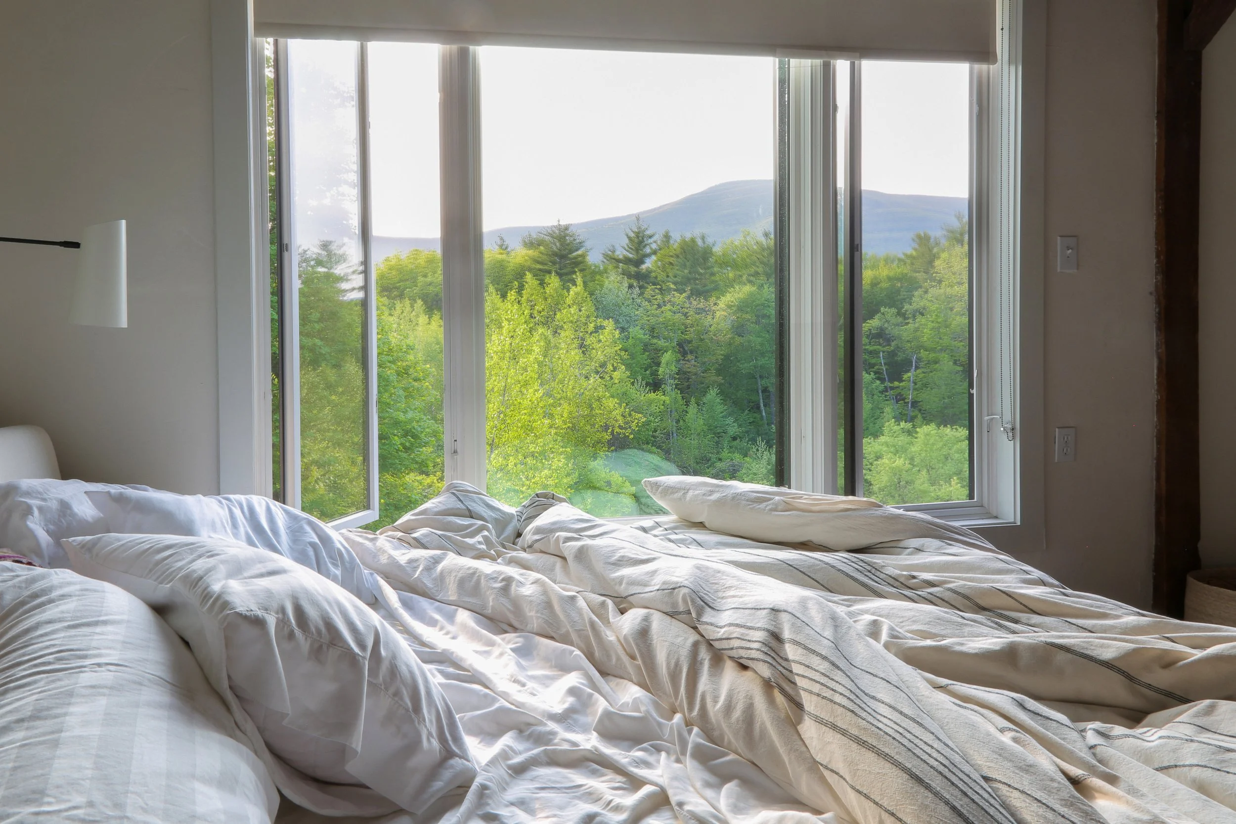 PRIMARY SUITE VIEW 4J0B5154.jpg