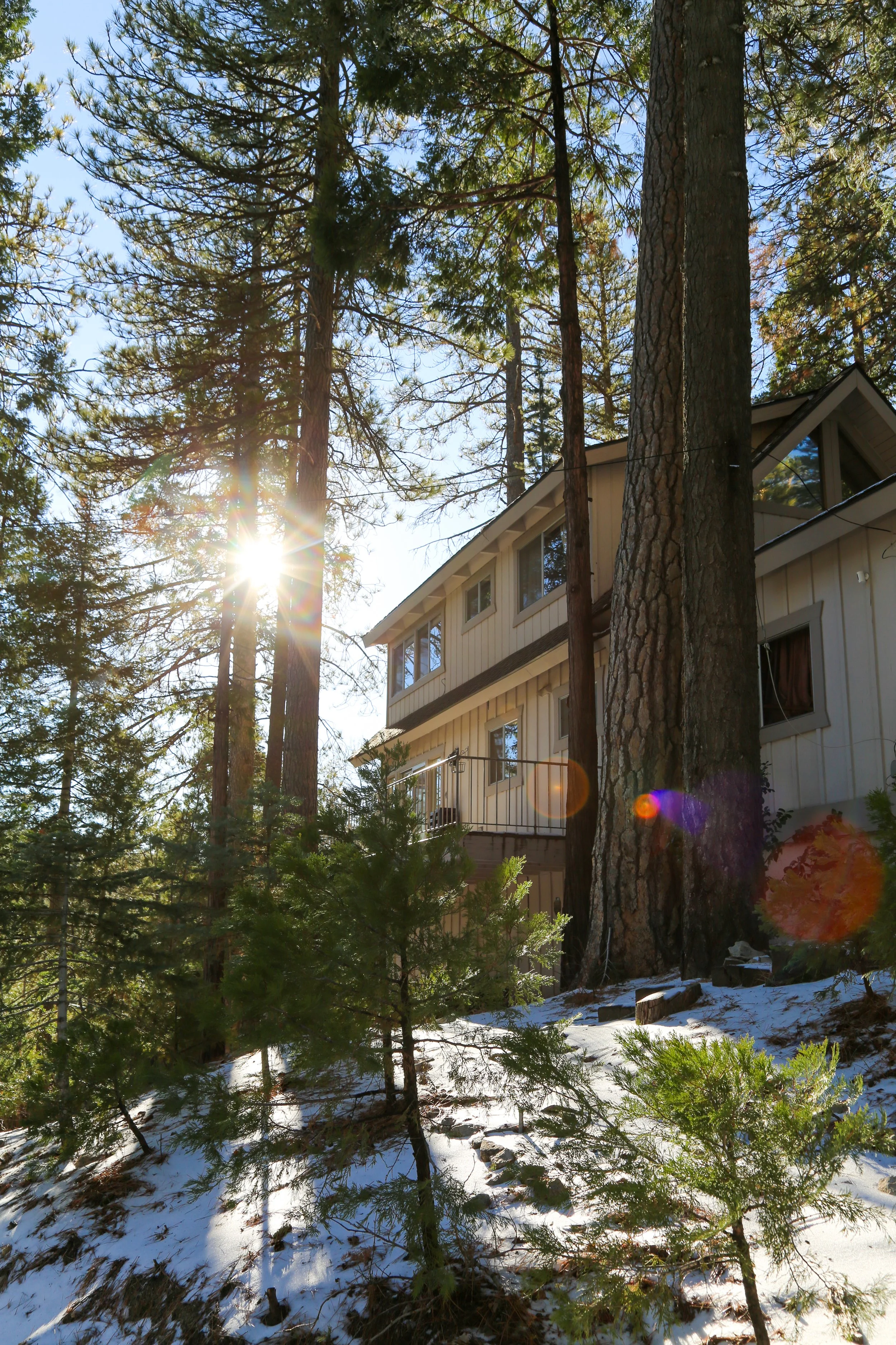 PC EXTERIOR VERTICAL 4J0B6575.jpg