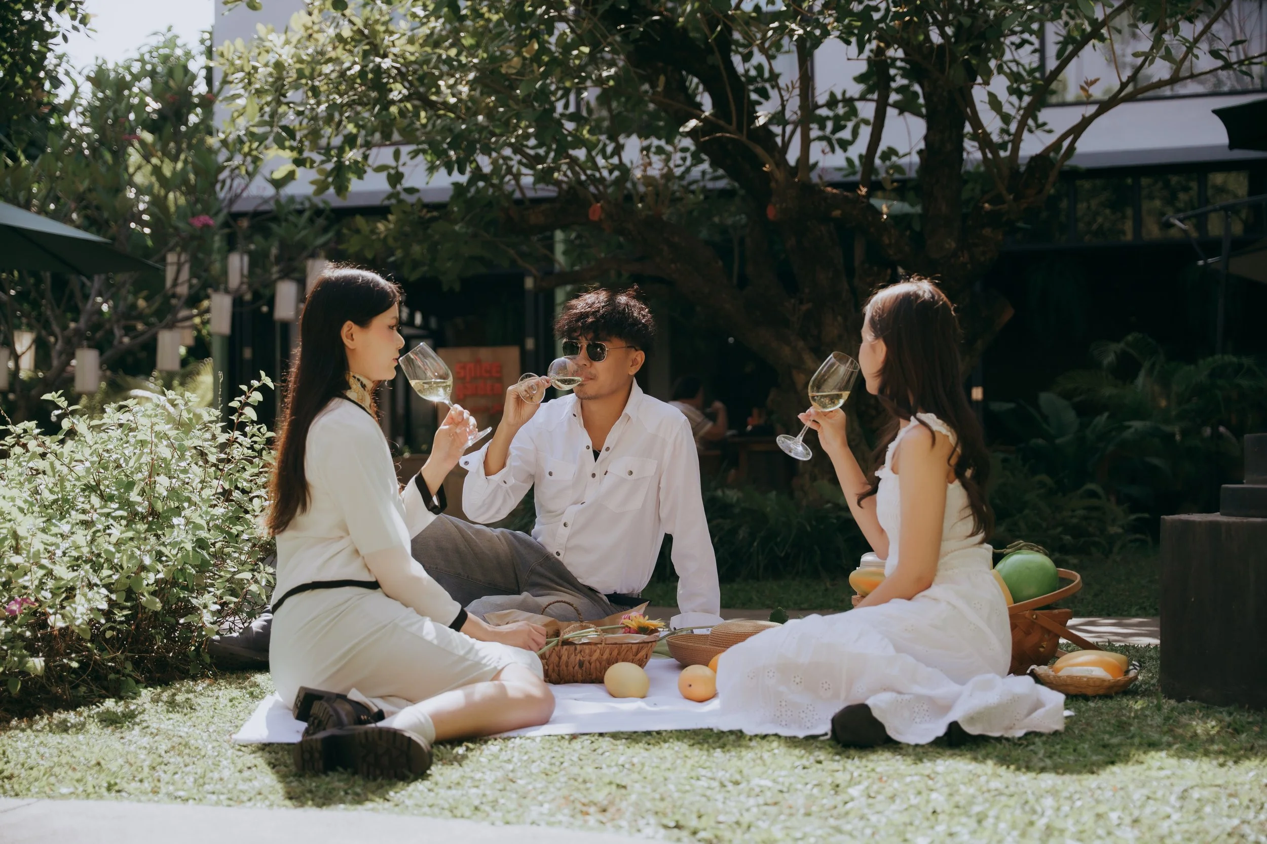 Wine garden Chiang Mai