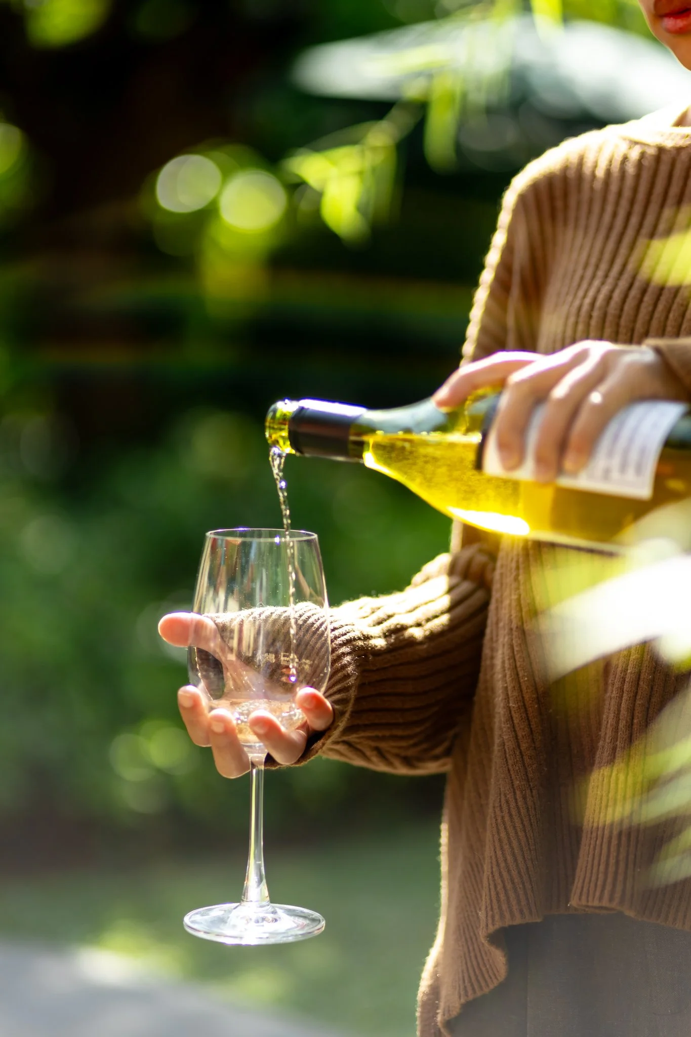 Wine garden Chiang Mai