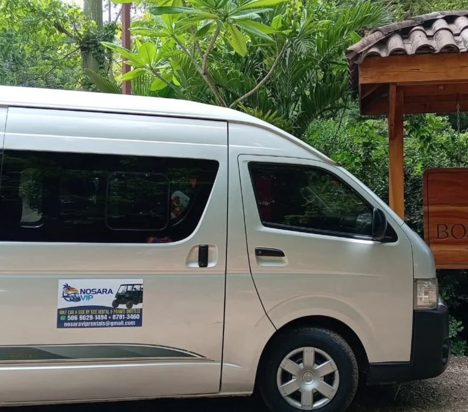 Silver van parked in a lush green area with tropical plants and trees nearby.