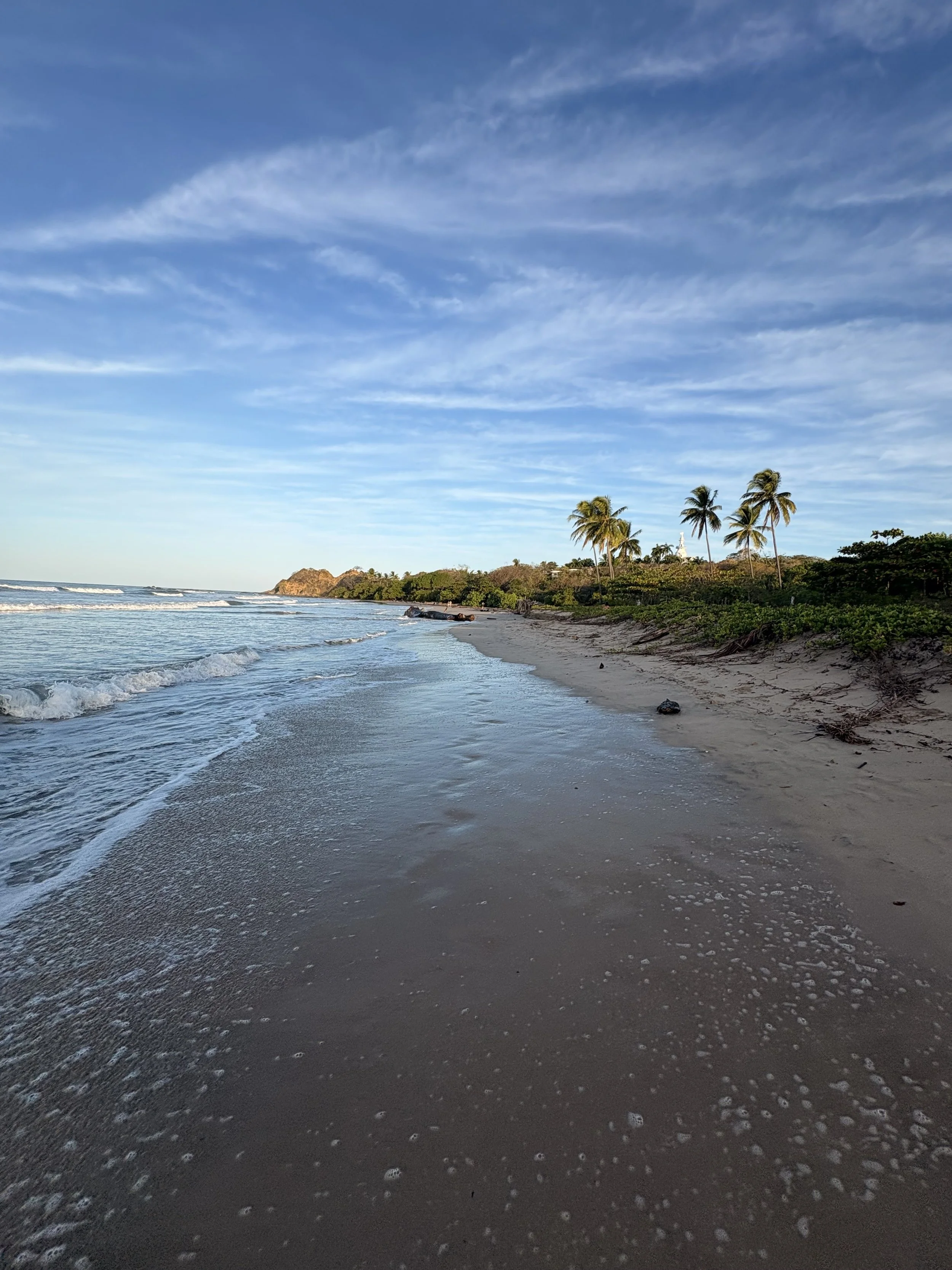 Beach with gentle waves, sandy shoreline, and palm trees under a blue sky with wispy clouds.