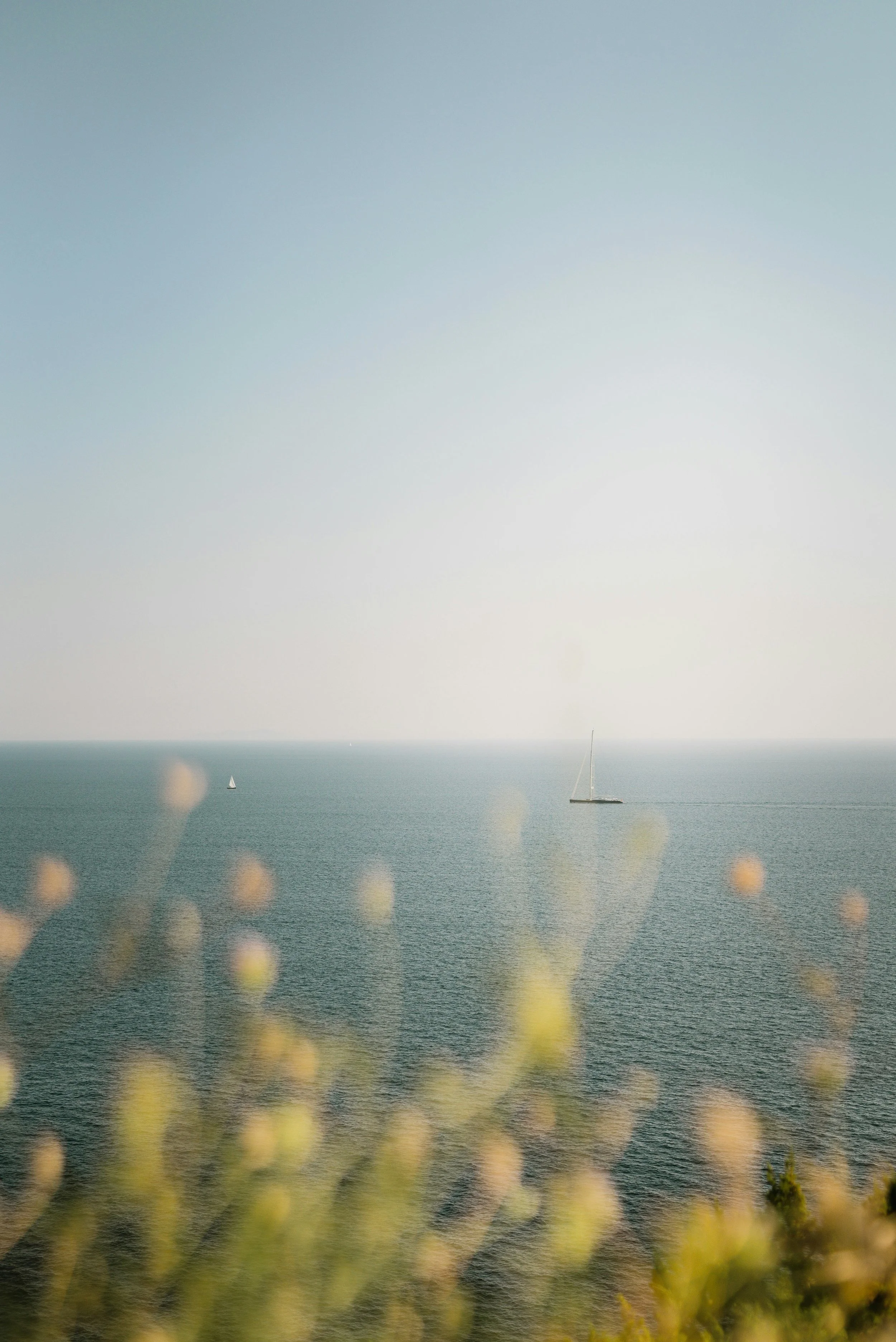 A serene ocean scene with calm water and a clear sky, featuring two sailboats in the distance, one larger and one smaller, with blurred yellow flowers in the foreground.