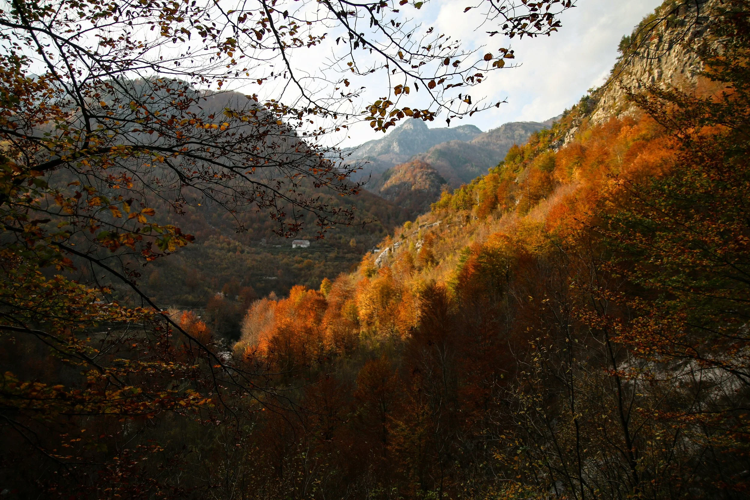 A mountain landscape with trees in autumn colors, with some bare branches in the foreground and a cloudy sky.