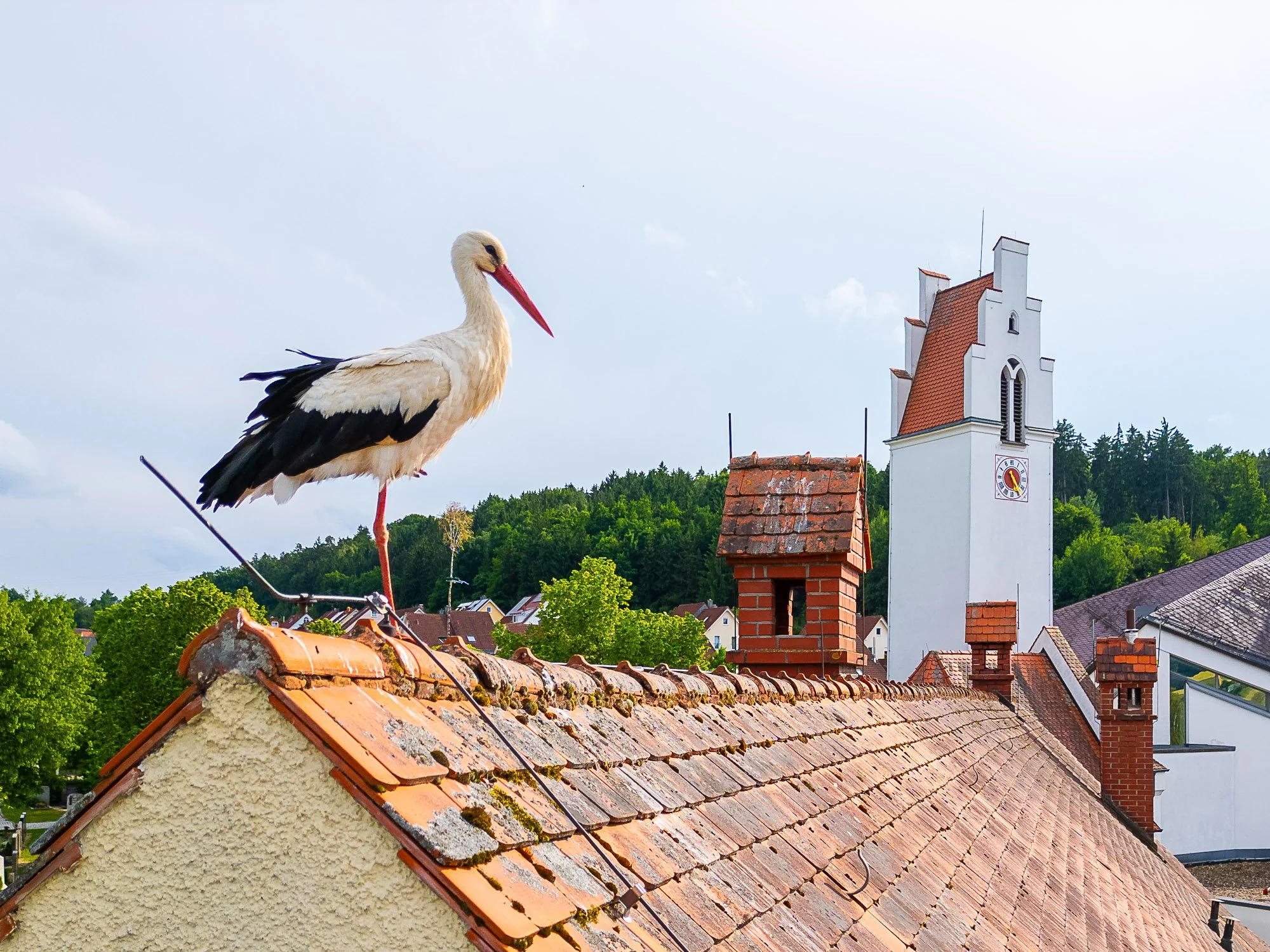 DJI_0059.jpg