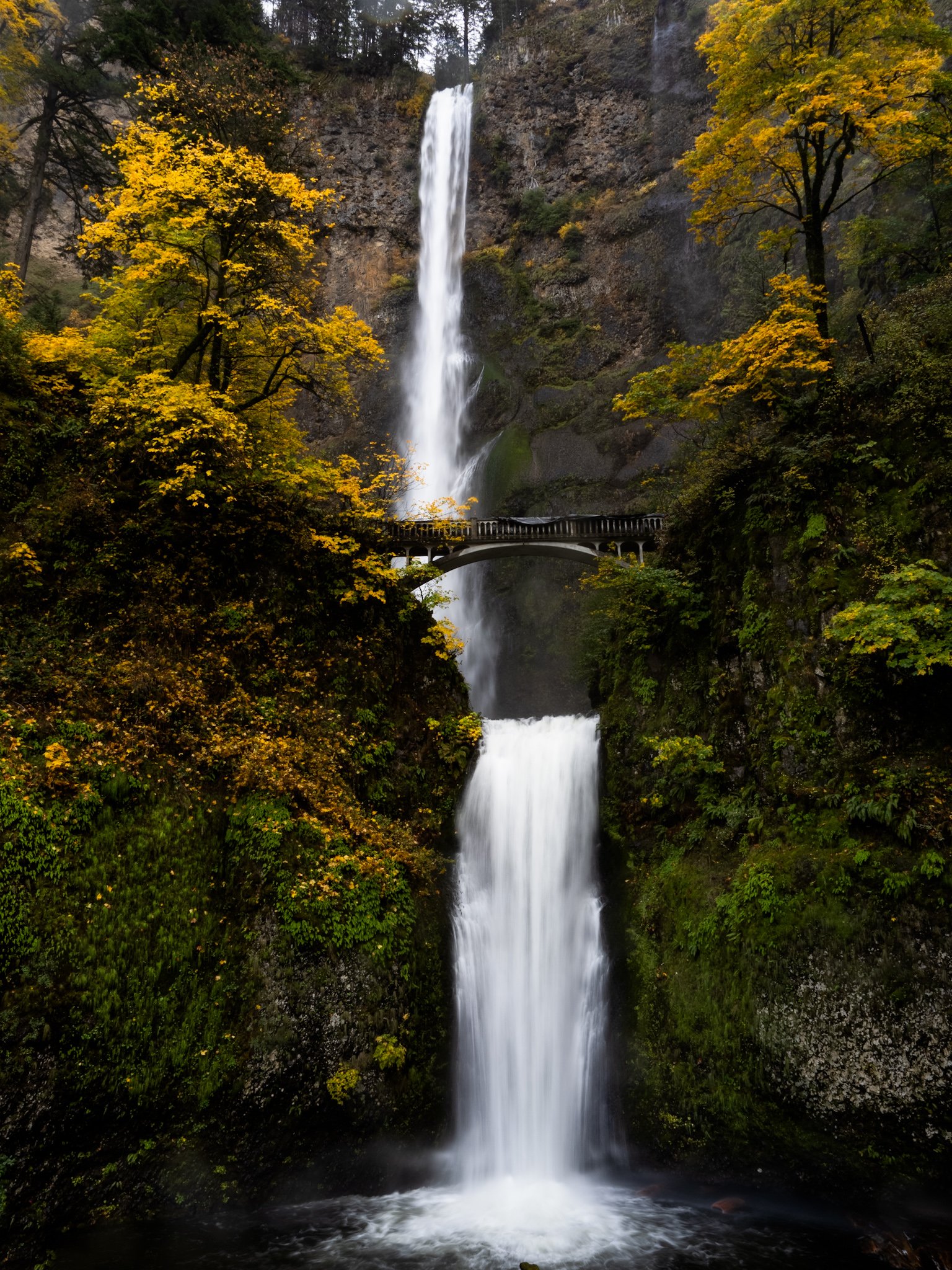 multnomah-falls_51634284951_o.jpg