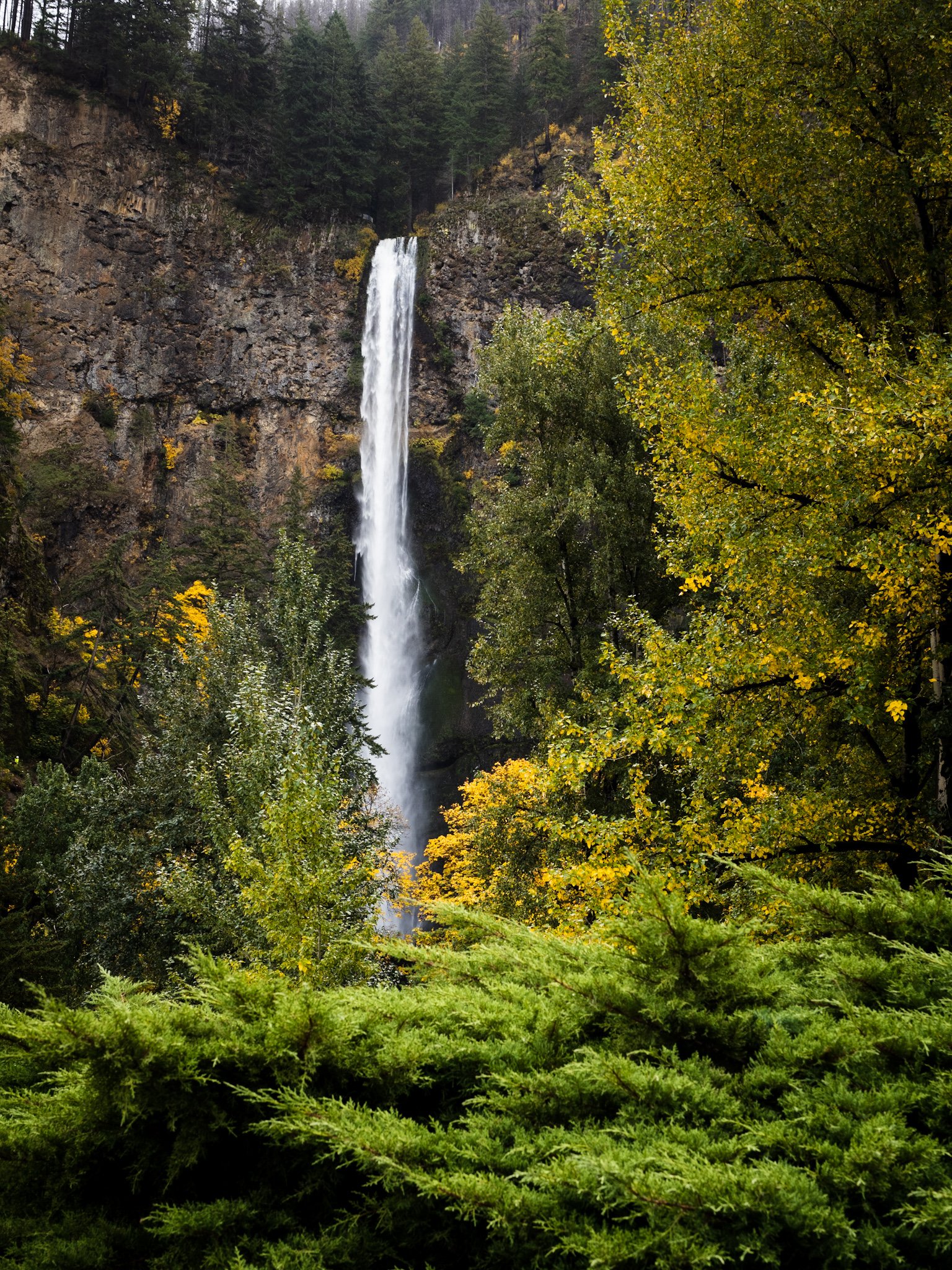 upper-multnomah-falls_51636701348_o.jpg