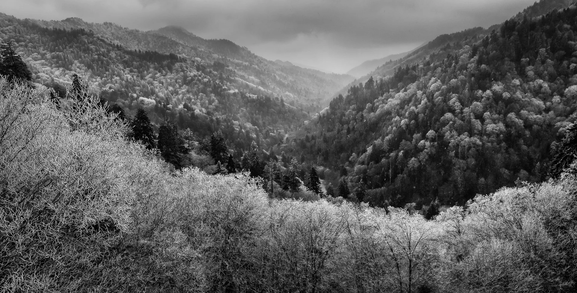 A winter wonderland! The view from Morton's Overlook on HWY 441 in the Great Smoky Mountains. 