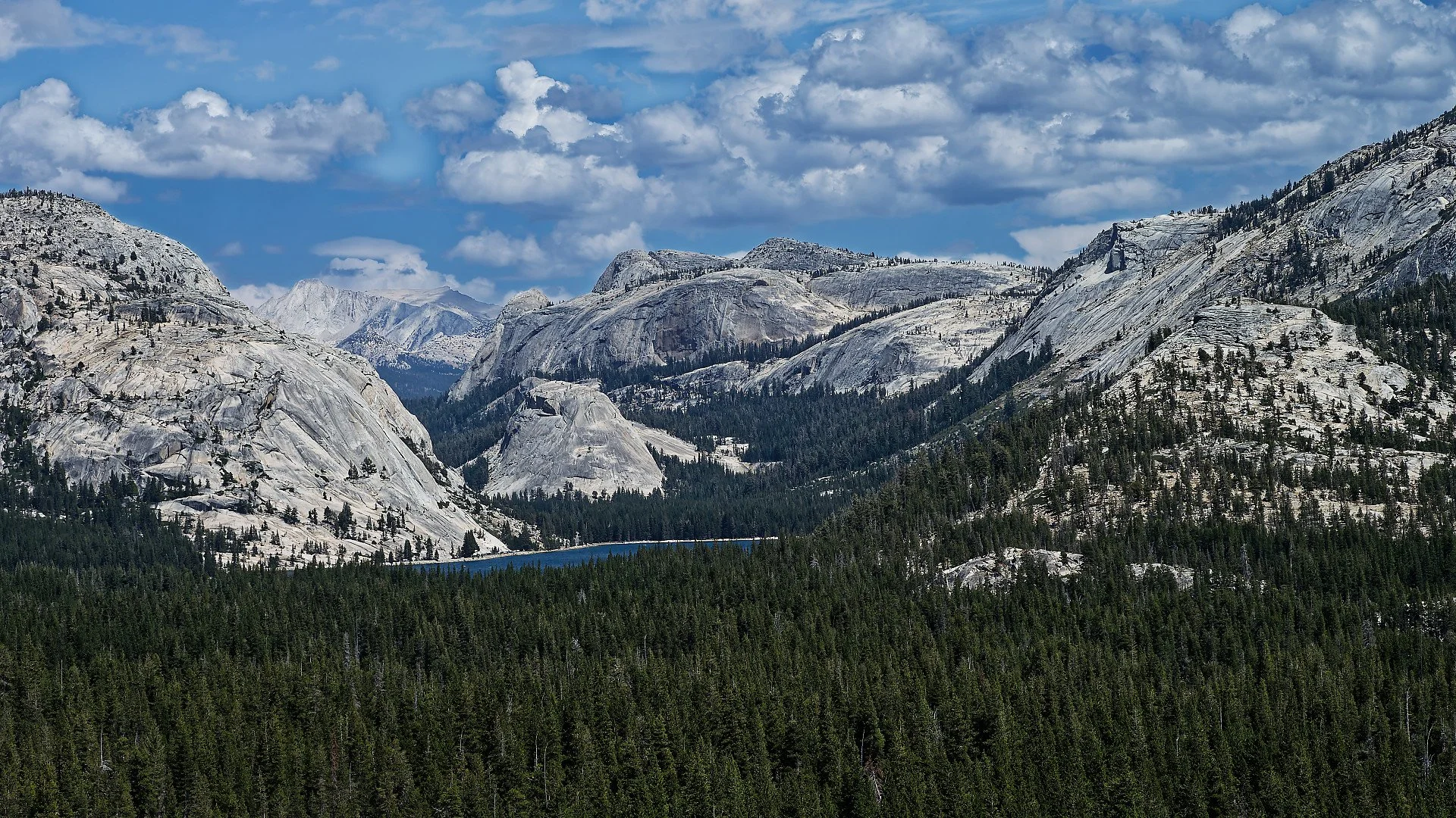 Yosemite National Park.jpg