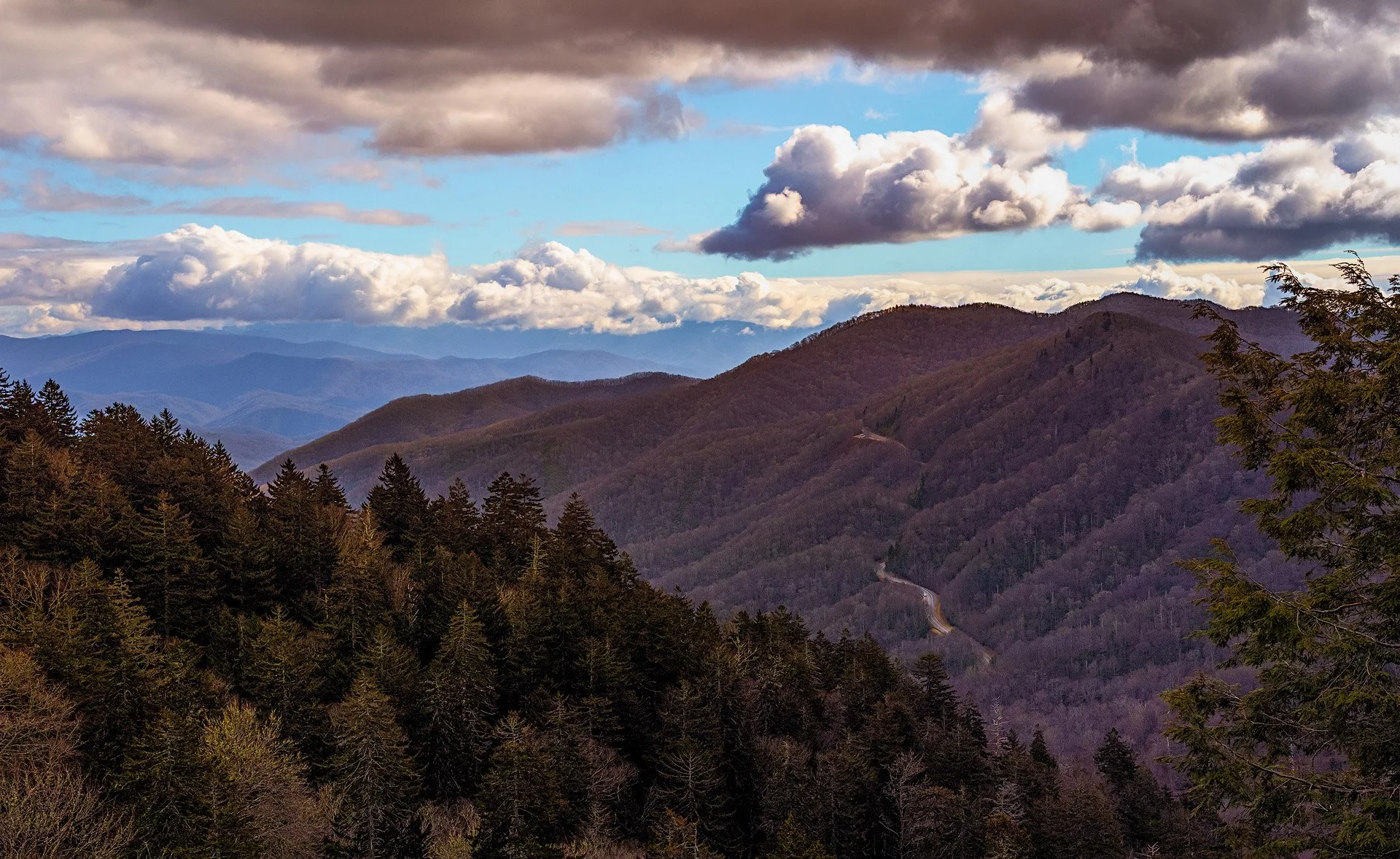 A winter storm was brewing in the Smoky's and this is what the view from Newfound Gap looked like.