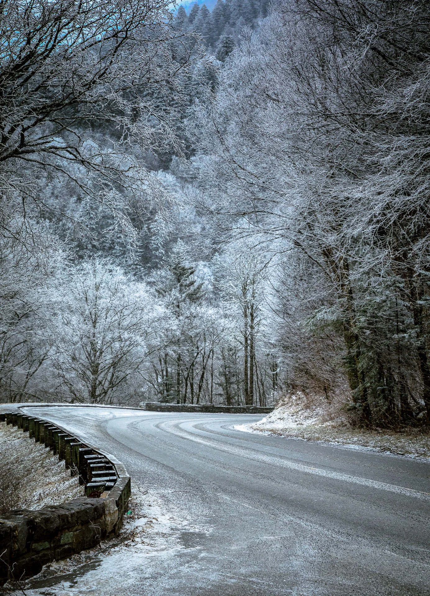 Snow and ice cover the trees and mountainside on HWY 441 at Newfound Gap in the Great Smoky Mountains National Park. 