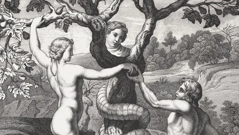 Answering The Problem of Evil