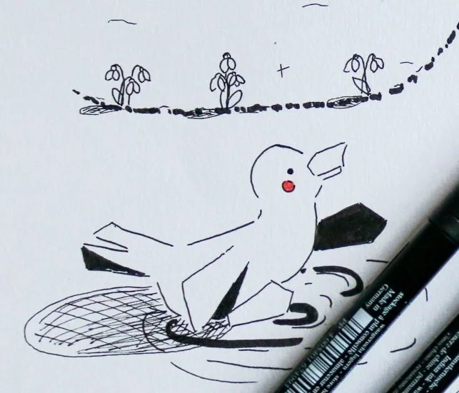 Little duck drawing with black pen