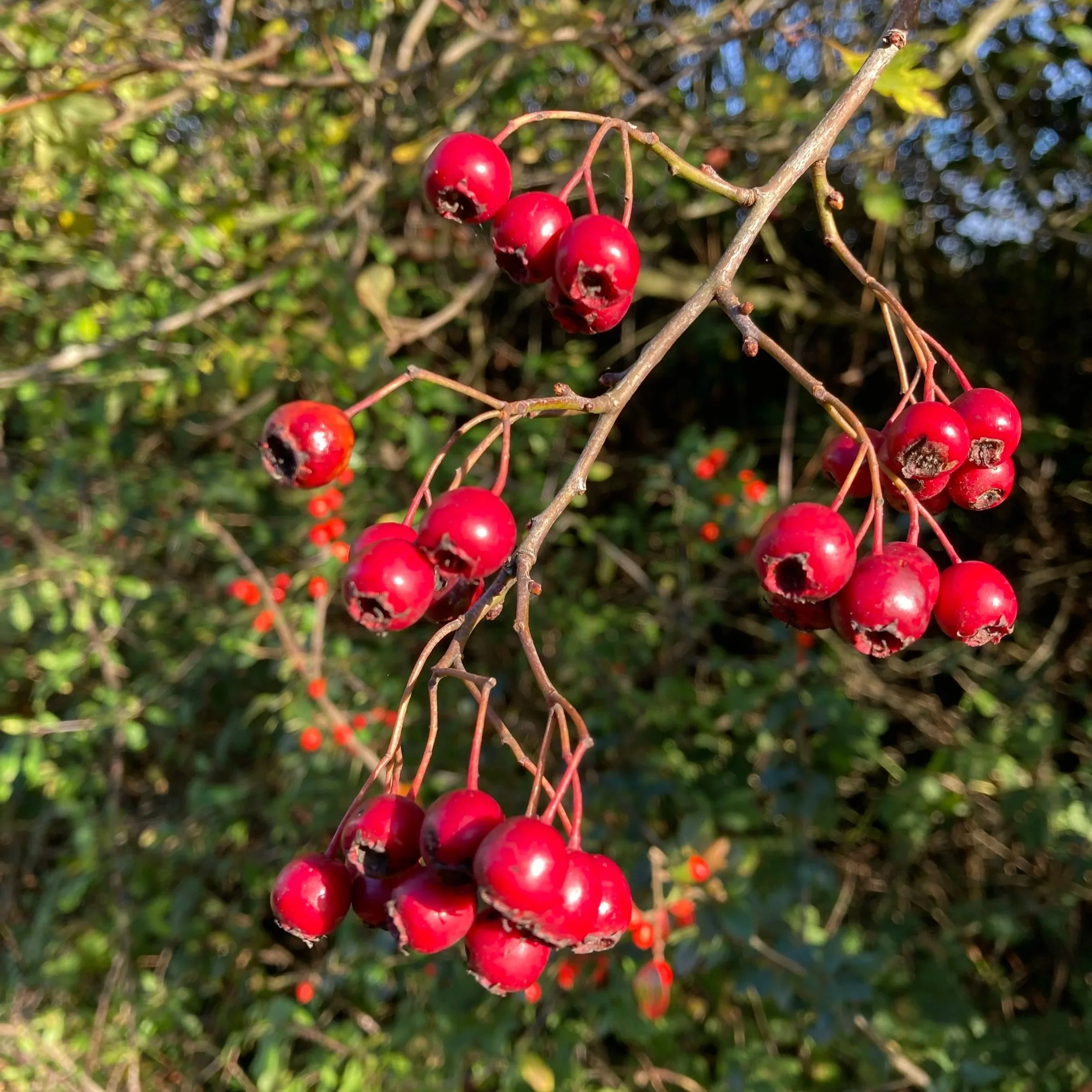 On being brave and starting a TikTok account!