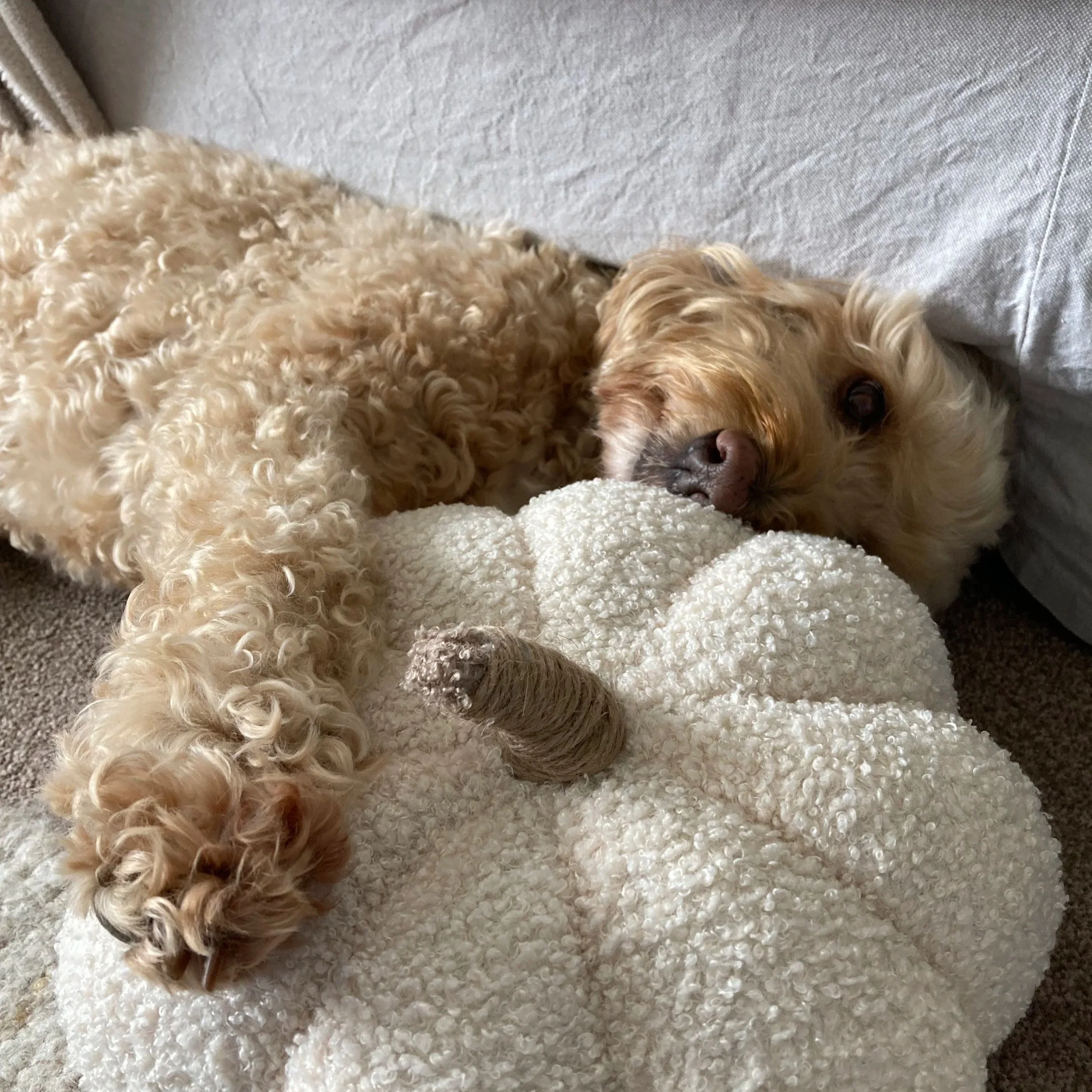 Autumn, cosiness, being an introvert &amp; koroks! 