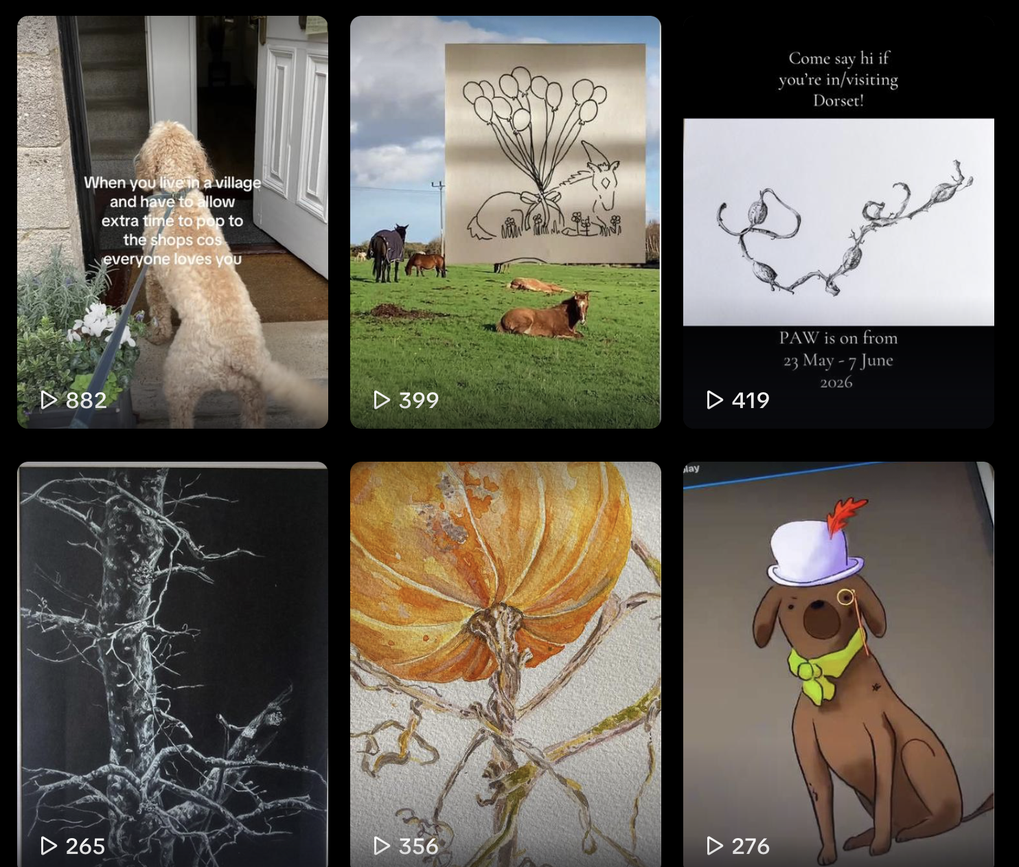 Ciara Hegarty TikTok account snapshot