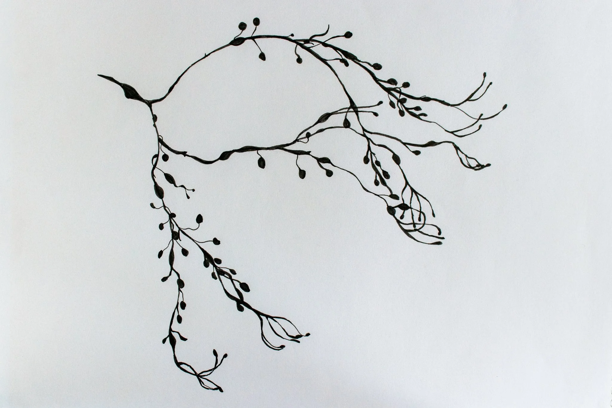 landscape and nature