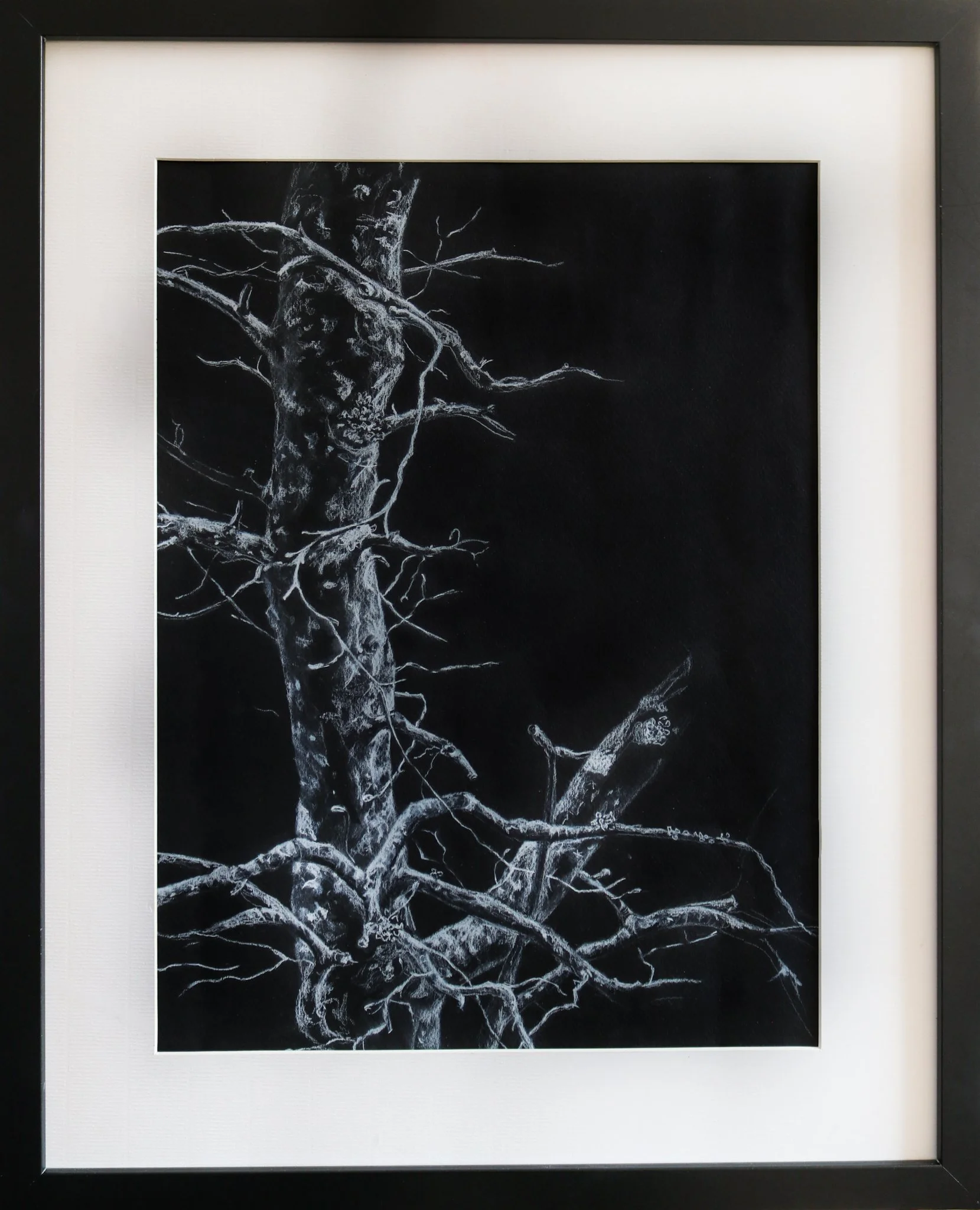 White pencil drawing of tree branches on black paper