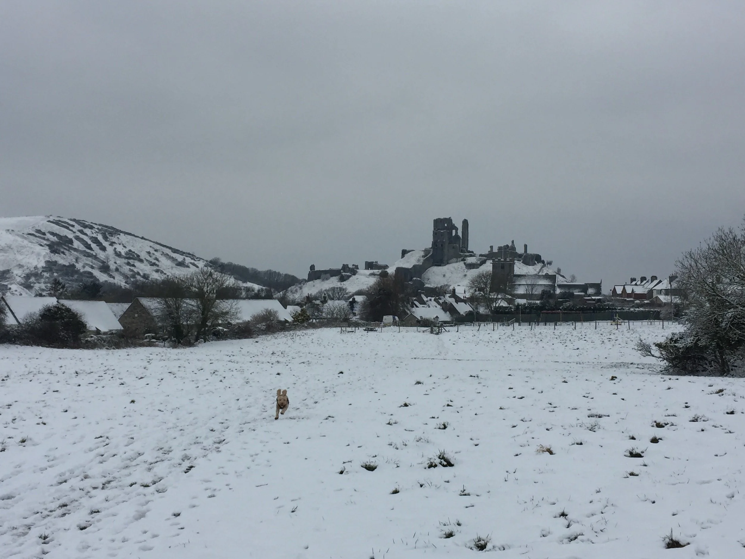 Marking the seasons and it being festive but not Christmas yet! Plus, cosy tips on finding December calm