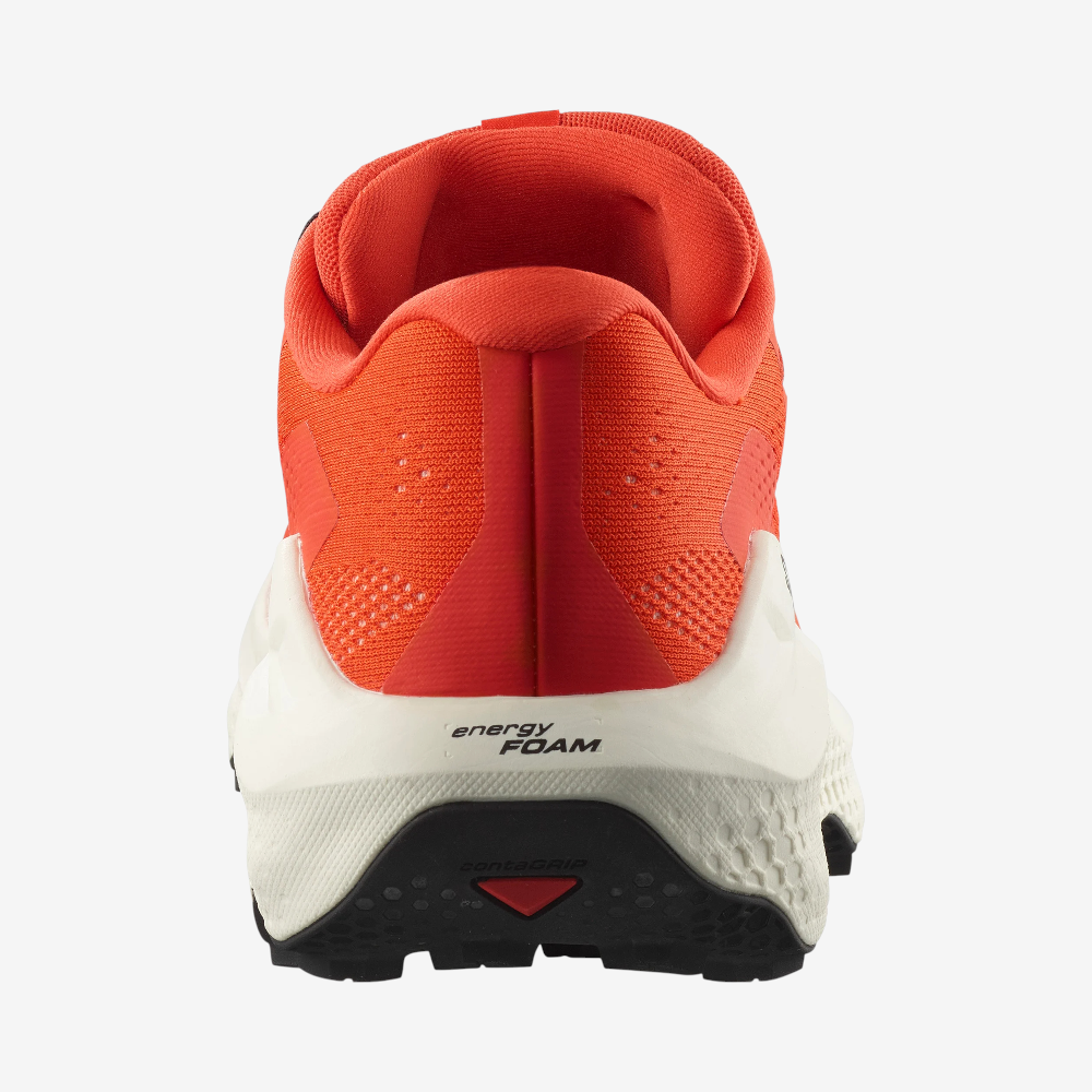 PNG-2000px-max-72dpi (4).png