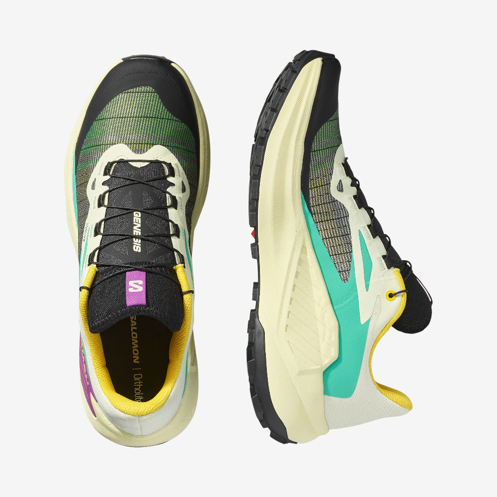 PNG-2000px-max-72dpi (1).png