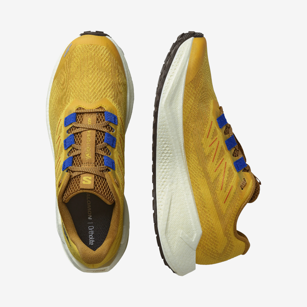 PNG-2000px-max-72dpi (1).png