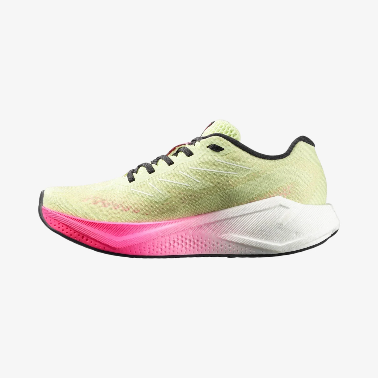 PNG-2000px-max-72dpi (1).jpg