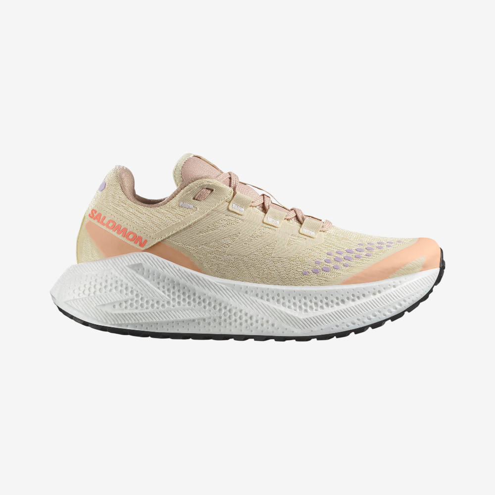 Salomon Aero Glide 3 GRVL W