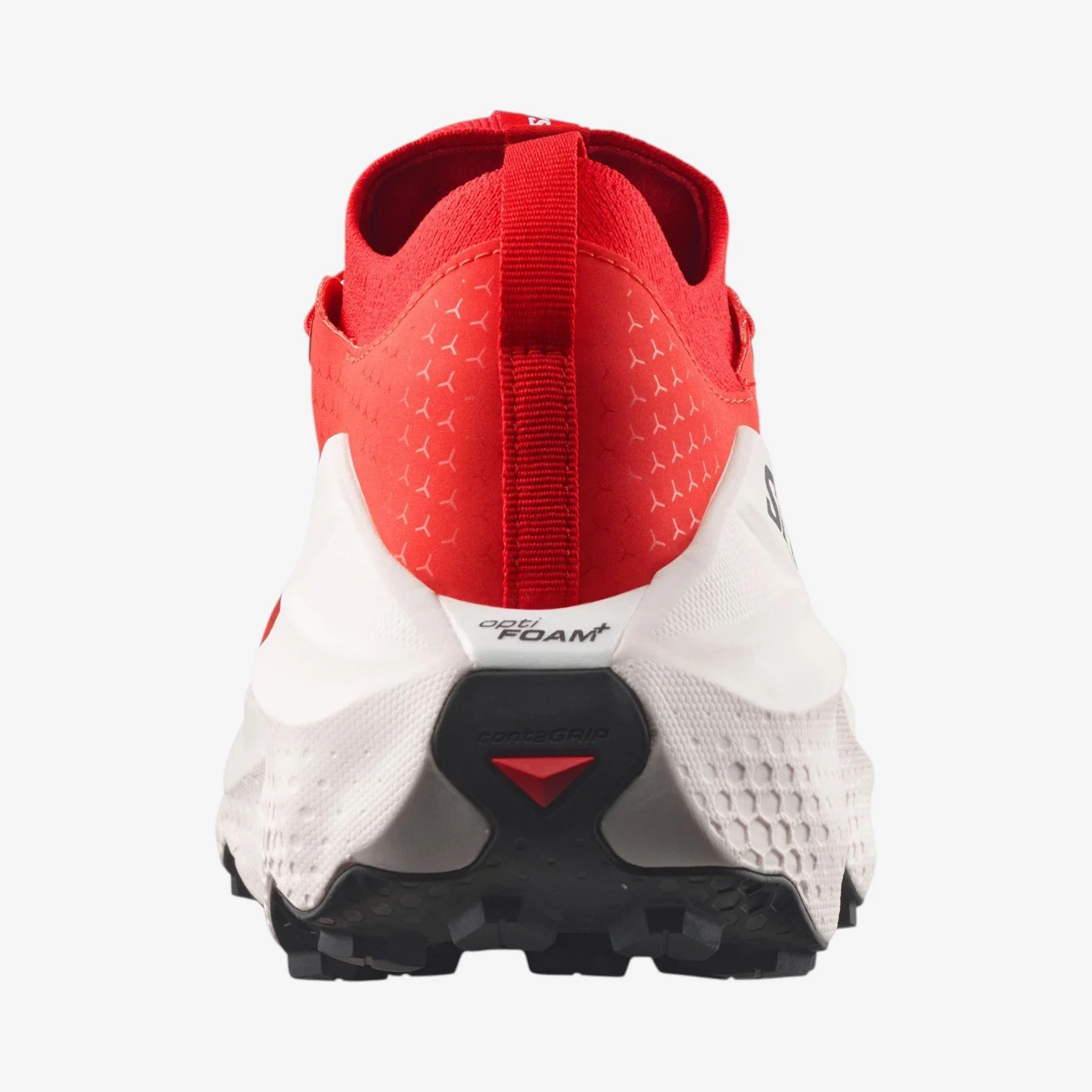 PNG-2000px-max-72dpi (3).jpg