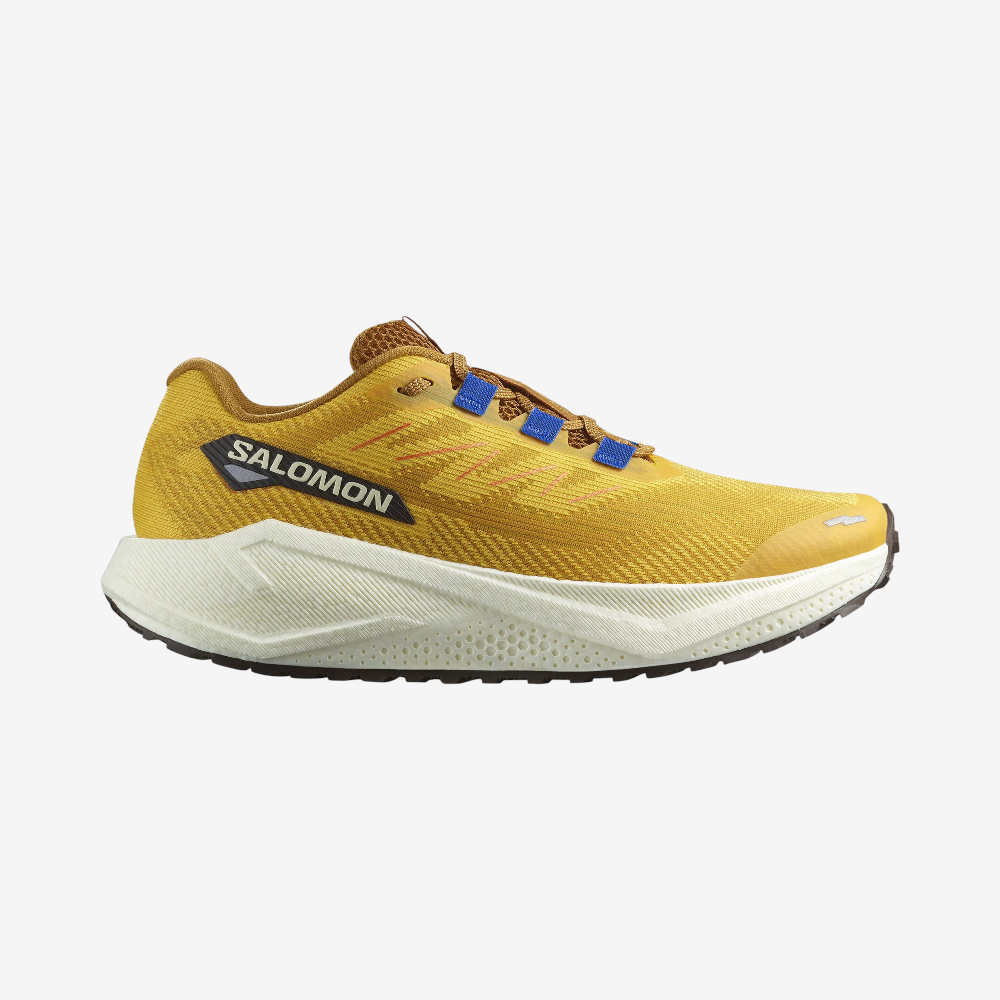 Salomon Aero Blaze 3 GRVL M