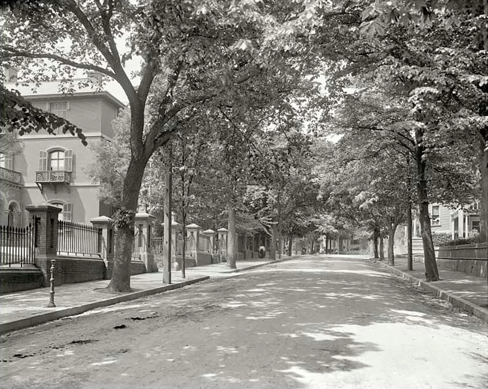 Tree lined street in the Fox Point neighborhood of Providence, RI