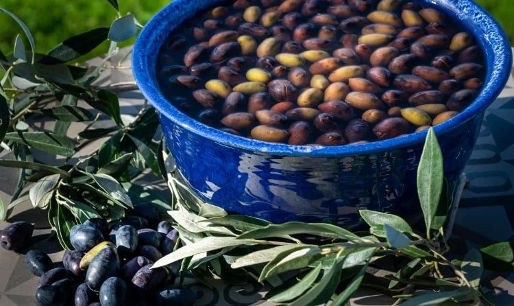 recipes for pickled olives elwirakotowska 4.jpg