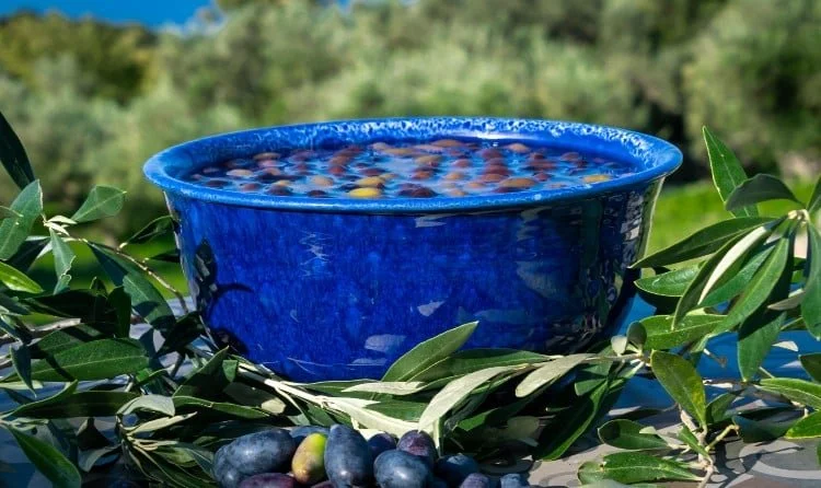 recipes for pickled olives elwirakotowska 6.jpg