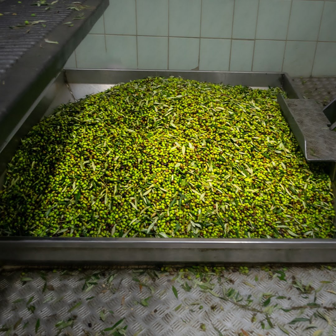 the-whole-of-messinia-smells-of-olives 6.jpg