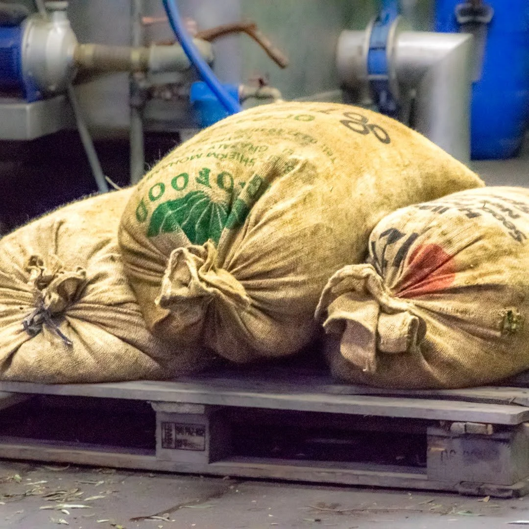 the-whole-of-messinia-smells-of-olives 8.jpg