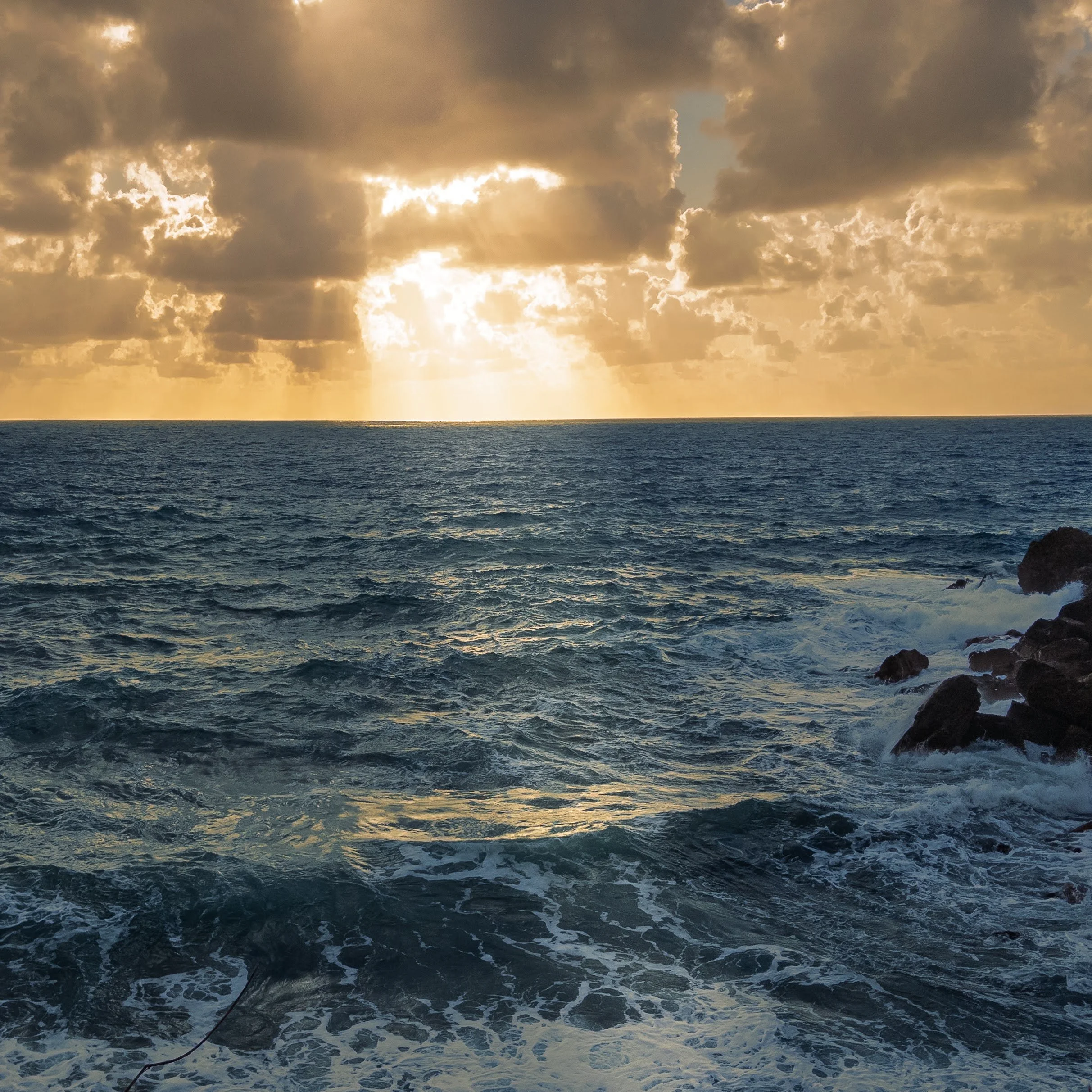 elwira kotowska mani february 2.jpg