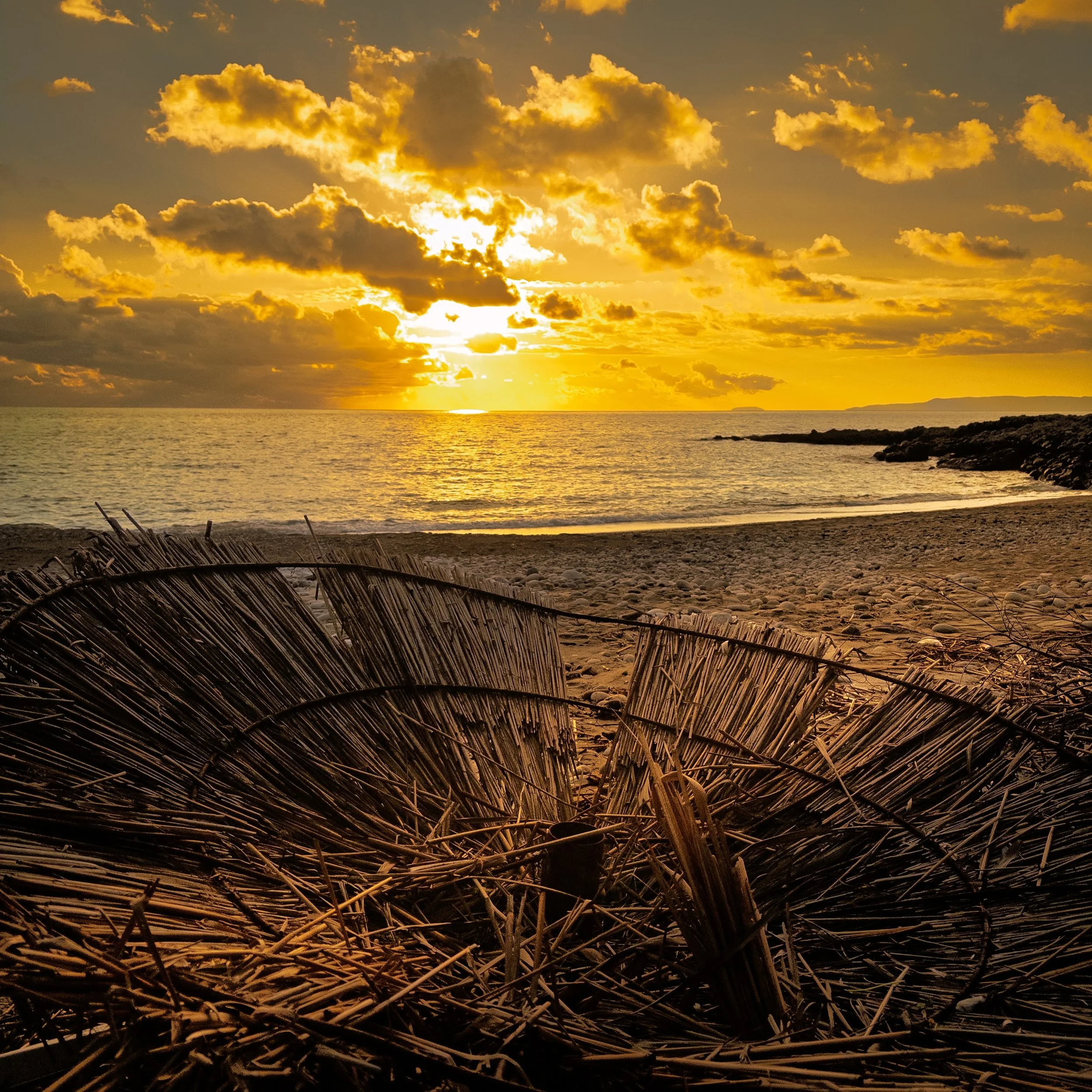 elwira kotowska mani february 1.jpg