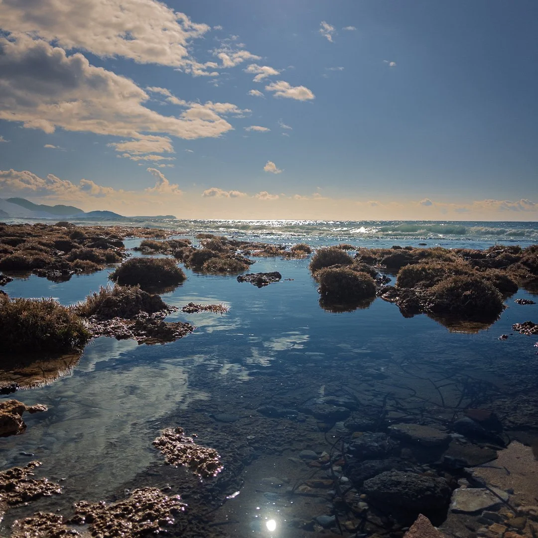 elwira kotowska mani february 26 b.jpg