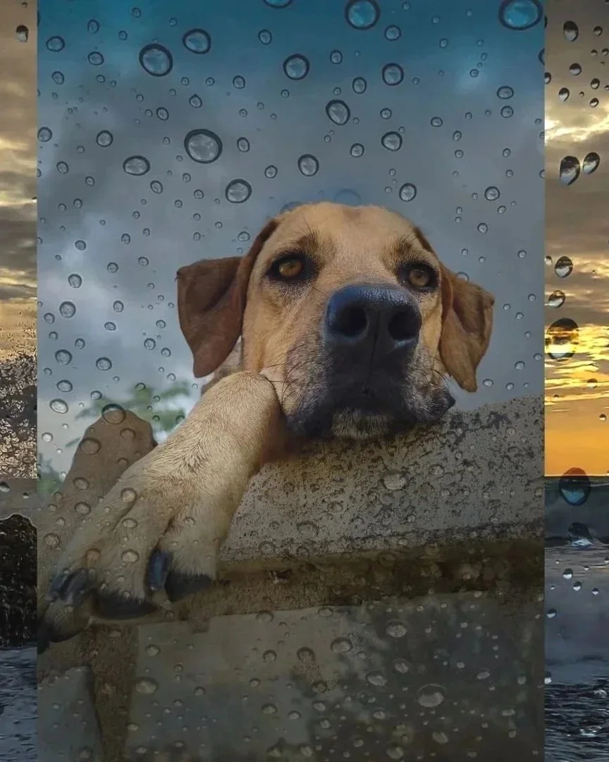 February 2026, the rainiest month so far