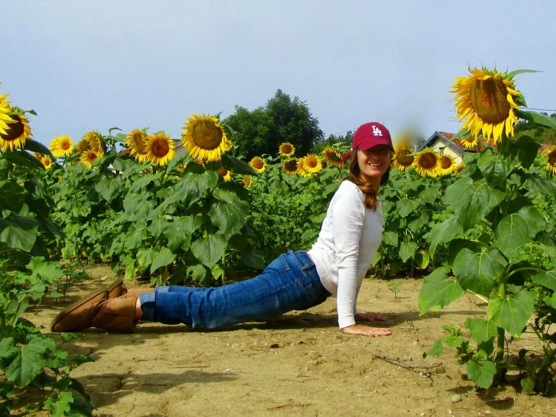 Ludivine faisant une pose de yoga en position de Chien Tête en l'air dans un champ de tournesols par une journée ensoleillée.