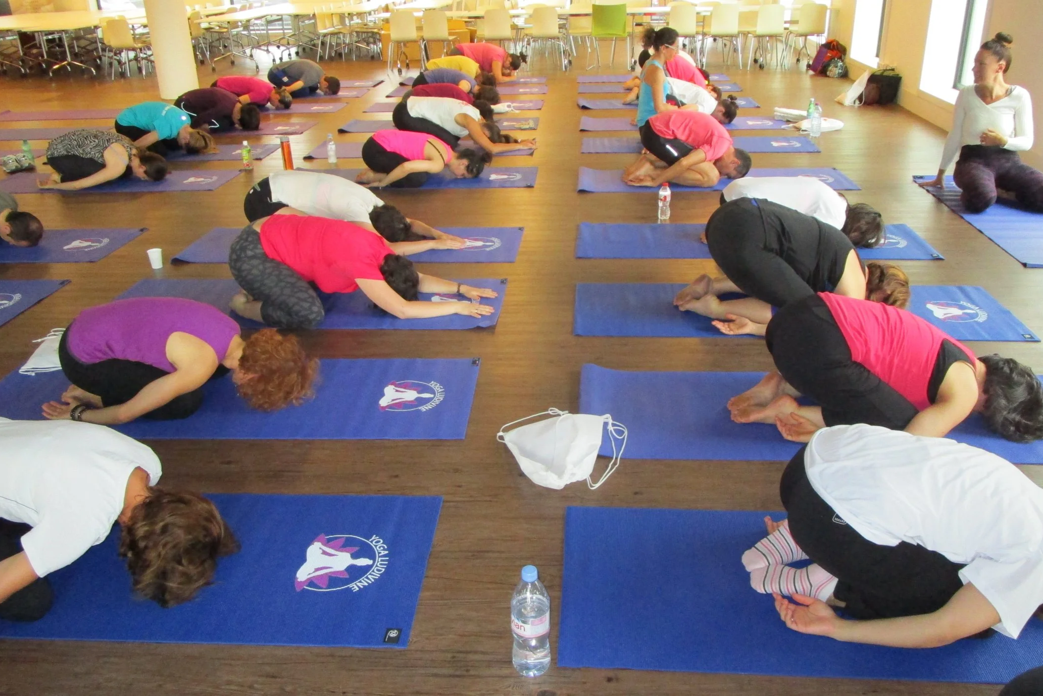 Groupe de personnes pratiquant le yoga en position de flexion avant dans une salle lumineuse avec des tapis bleus portant un logo de yoga.