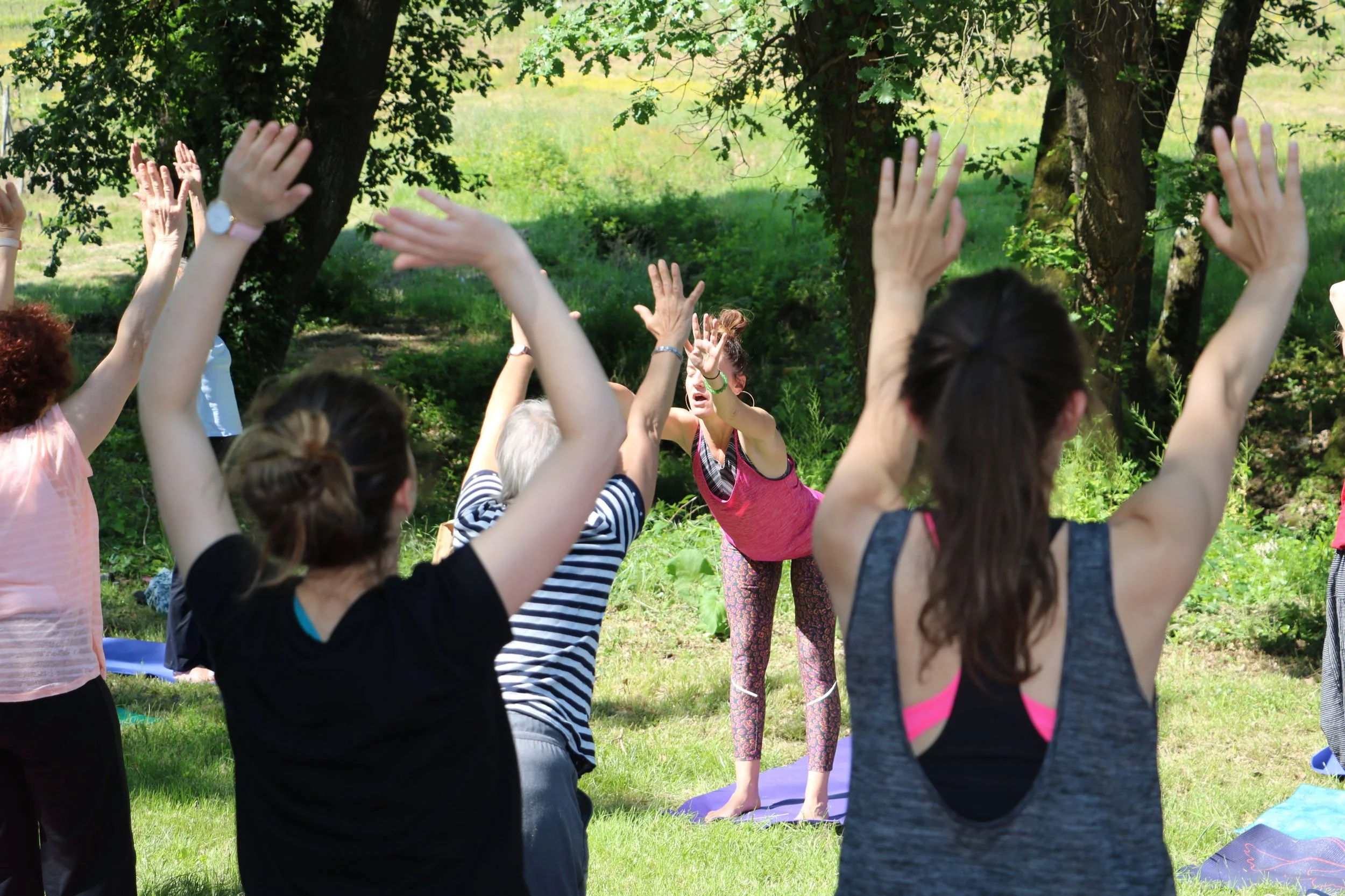 Groupe de personnes pratiquant le yoga dans un parc sous un arbre