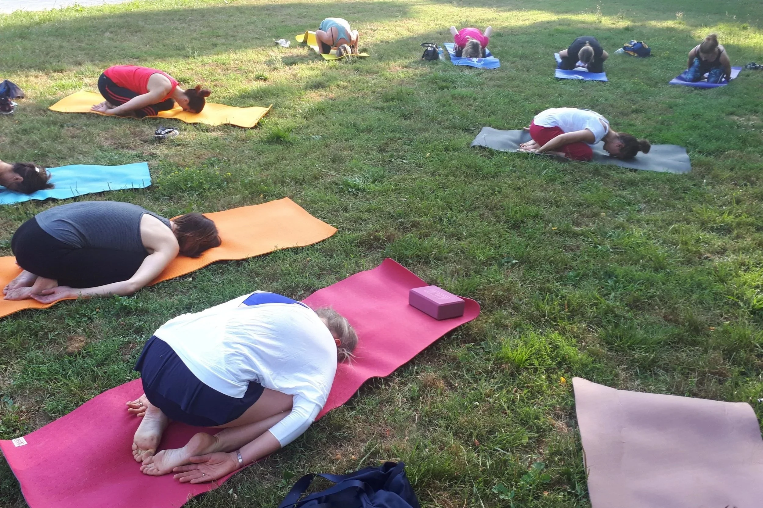 Groupe de personnes pratiquant le yoga en extérieur sur l'herbe, toutes en position de flexion avant, utilisant des tapis de différentes couleurs.