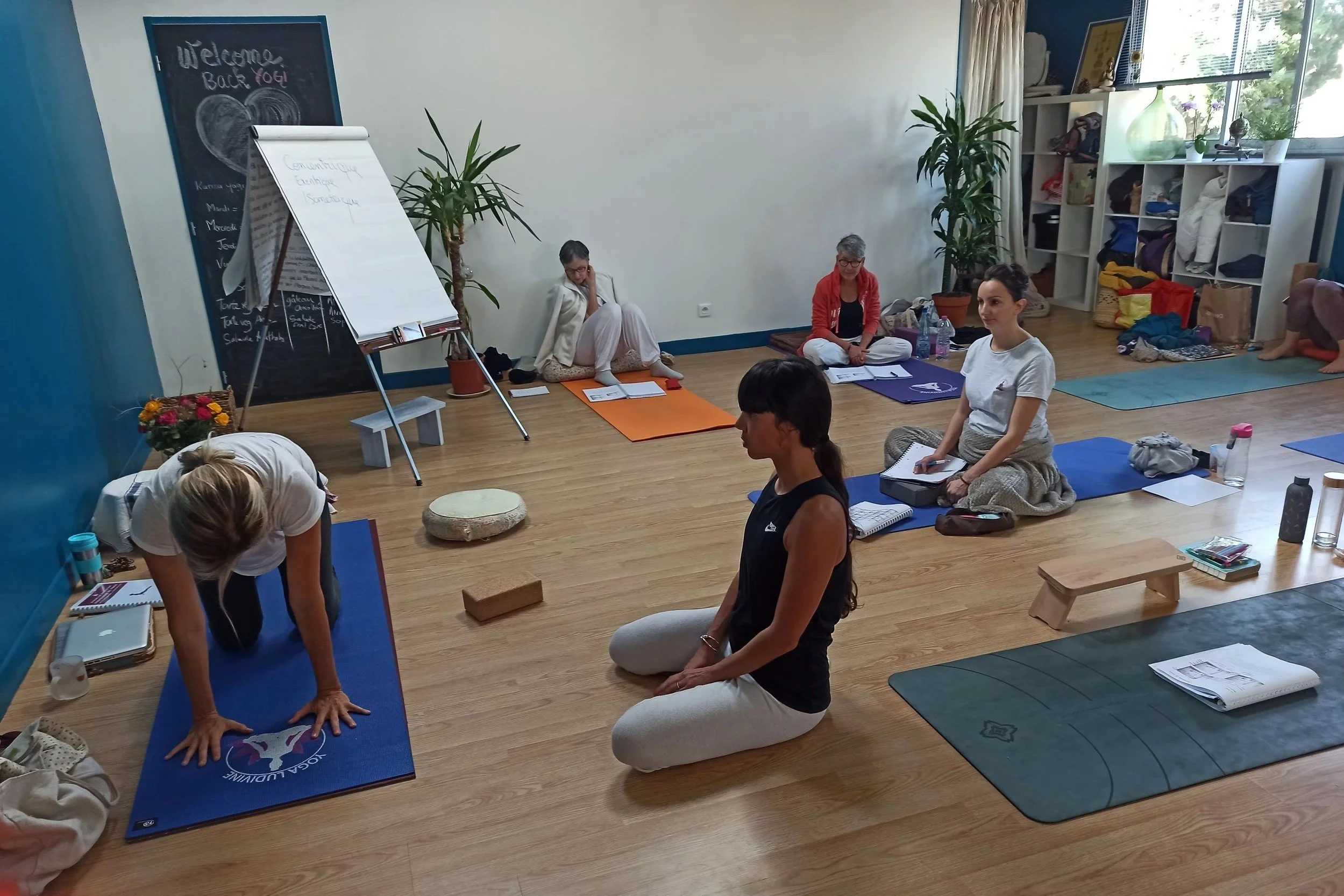 Groupe de personnes participant à une séance de yoga ou de méditation dans une salle lumineuse, certaines assises en tailleur, d'autres à genoux ou en position de chien descendant sur leurs tapis.