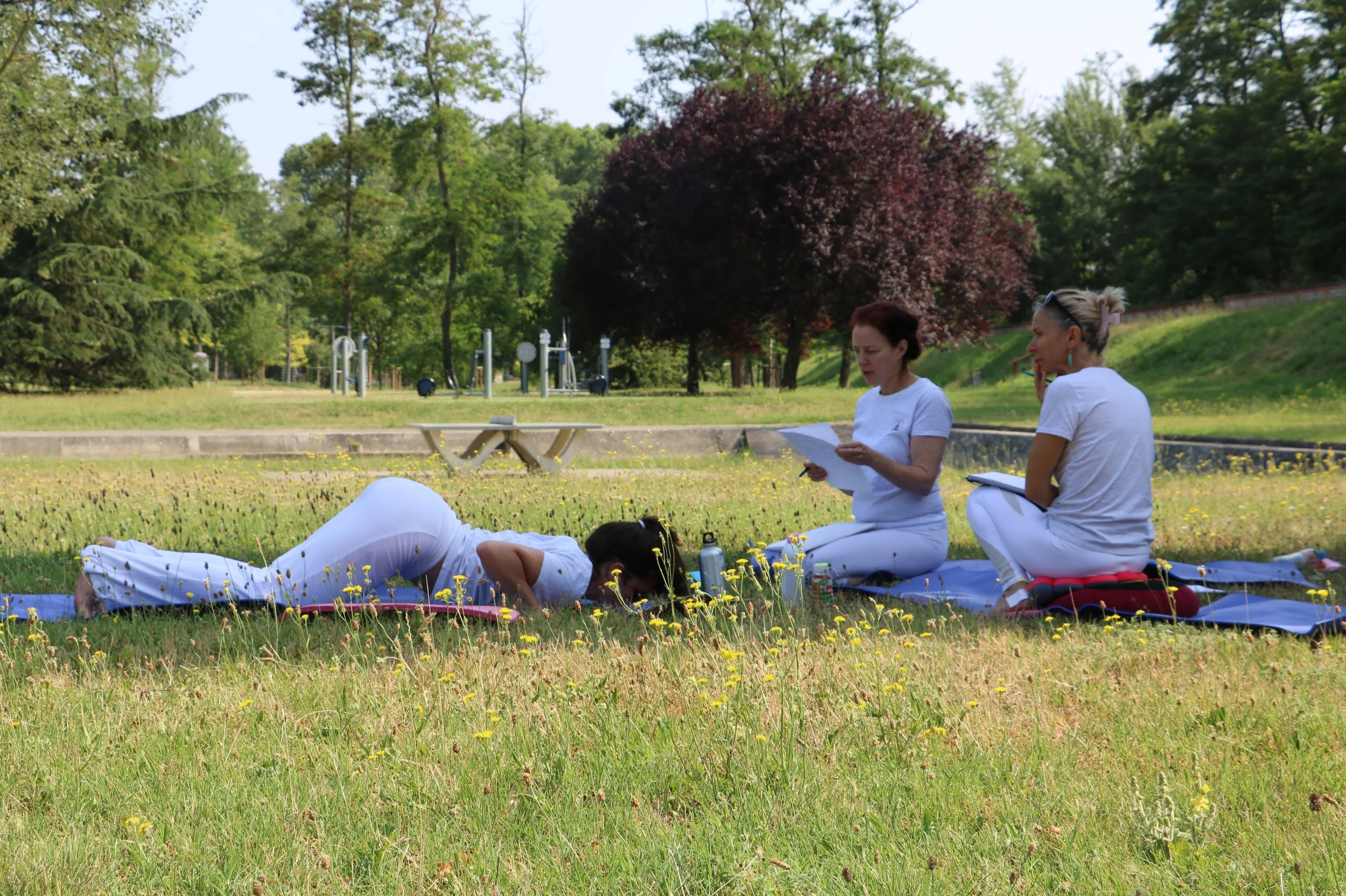 Trois femmes pratiquant le yoga en plein air dans un parc, deux d'entre elles sont assises en position de méditation et l'autre est allongée en chien tête en bas, avec des arbres en arrière-plan.