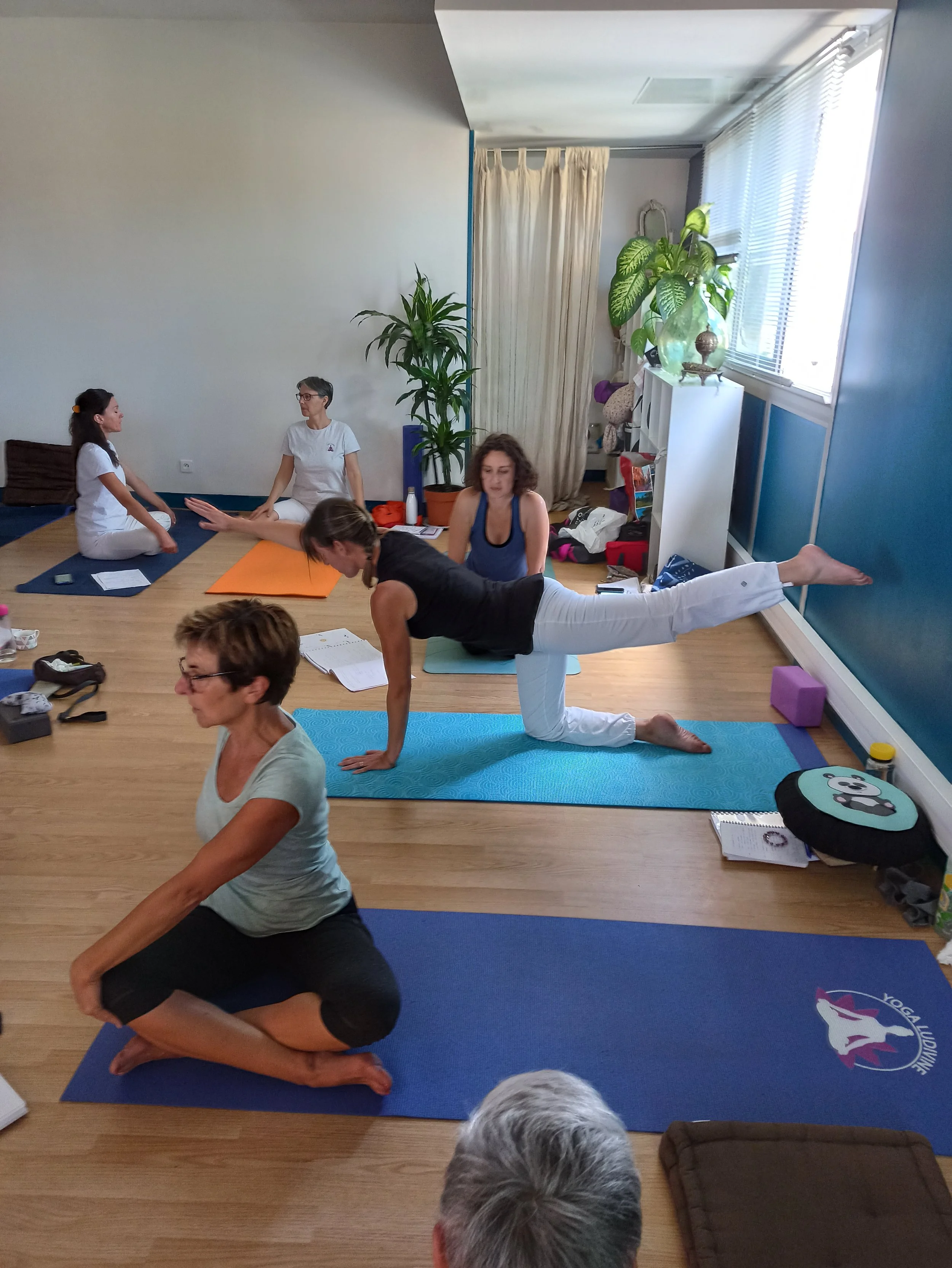 Groupe de personnes participant à un cours de yoga dans une salle lumineuse avec des plantes, utilisant des tapis de yoga.