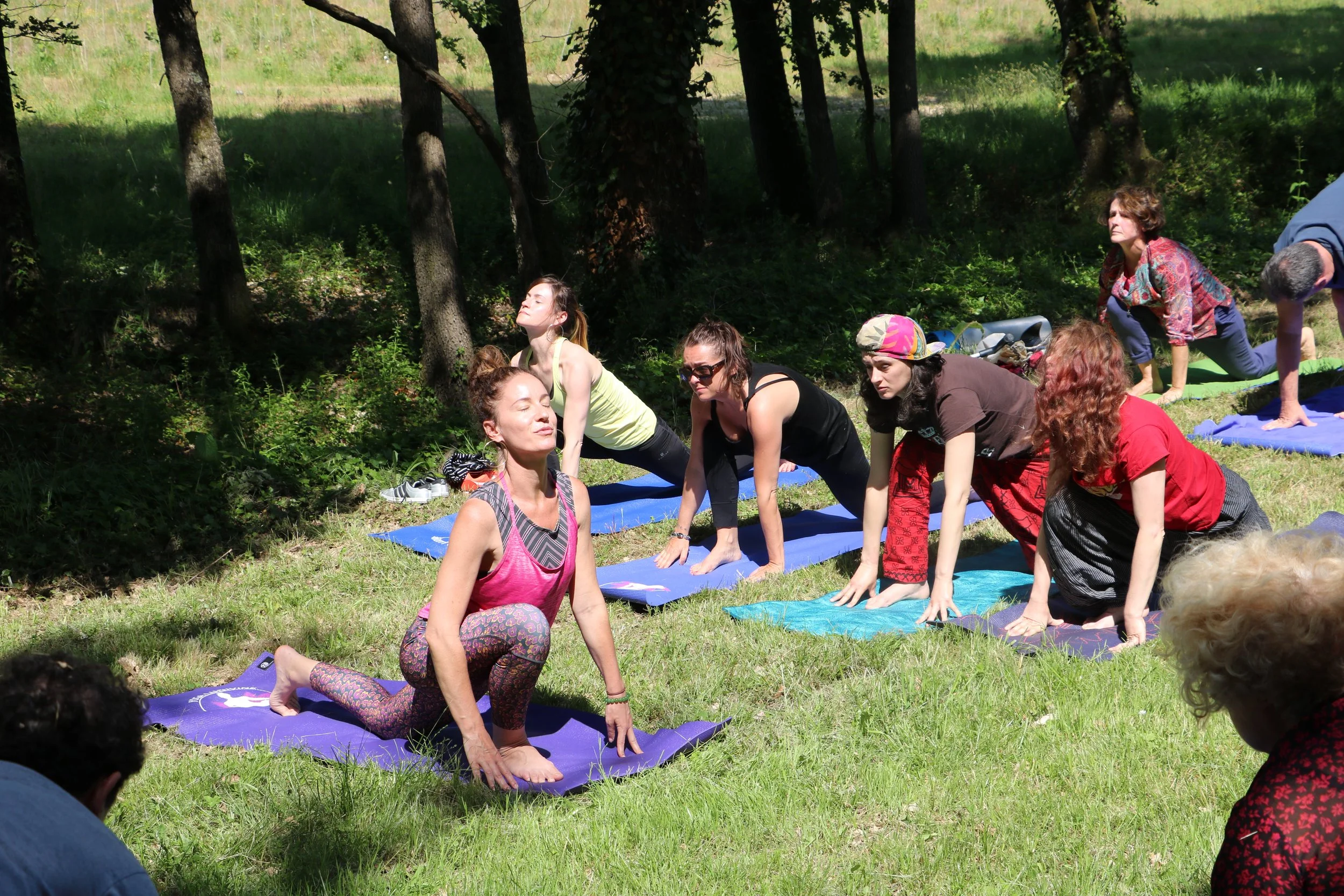 Groupe de personnes faisant du yoga en plein air dans un parc forestier, certains en position de chien tête en bas, d'autres en position de fente, sous un soleil brillant.