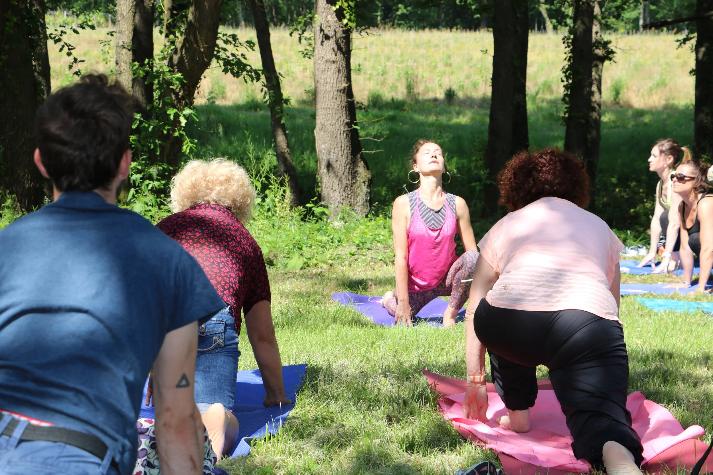 Groupe de personnes pratiquant le yoga en plein air dans une forêt.