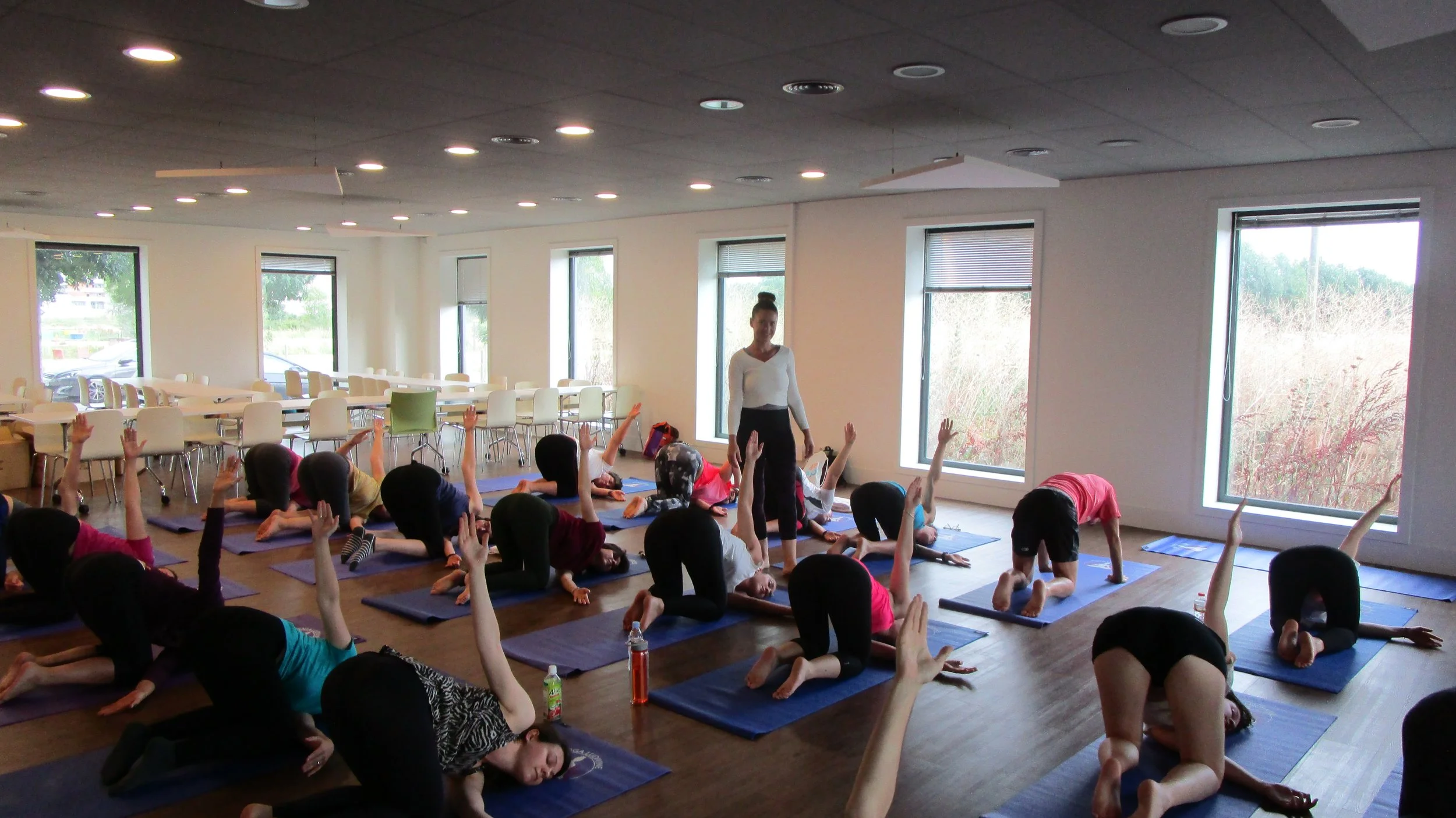 Une salle de cours de yoga avec plusieurs élèves en posture de yoga, certains levant la main, encadrée par une instructrice. Grandes fenêtres laissant entrer la lumière naturelle.