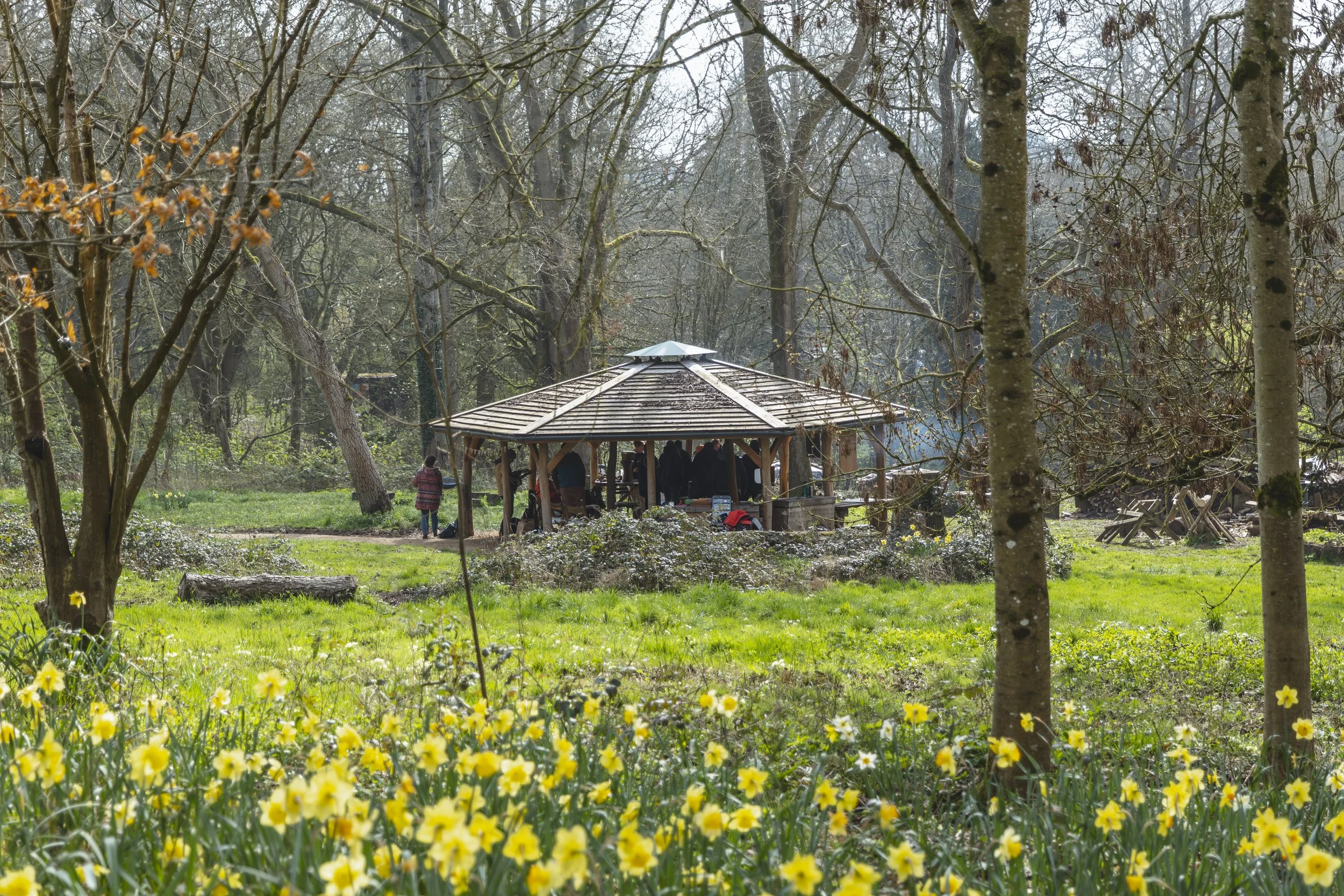 Saturday - 13/06/26 - Tortworth Arboretum